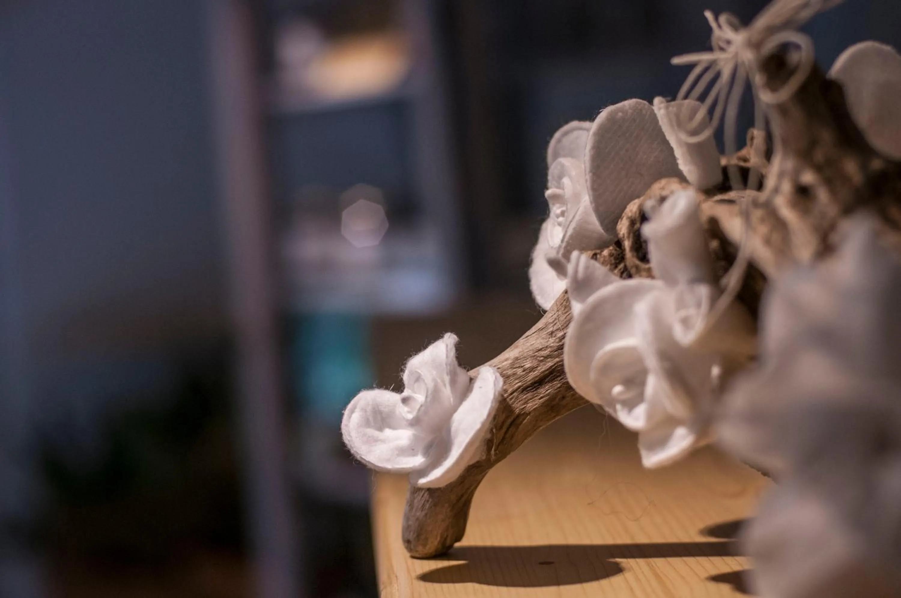 B&B Botton d'Oro Valle Imagna