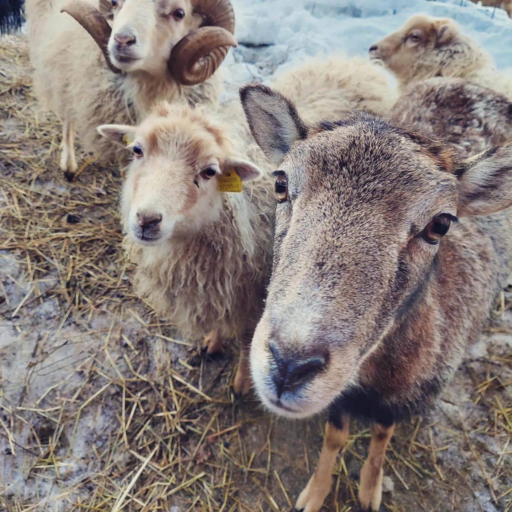 B&B Botton d'Oro Valle Imagna