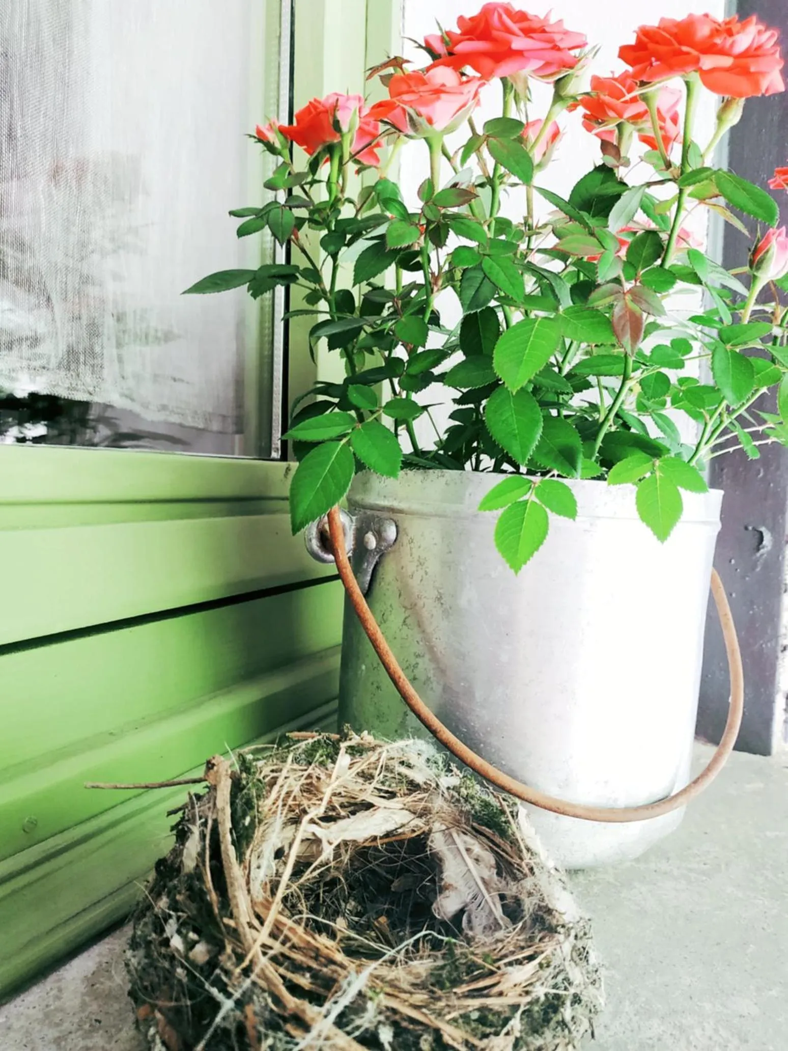 B&B Botton d'Oro Valle Imagna