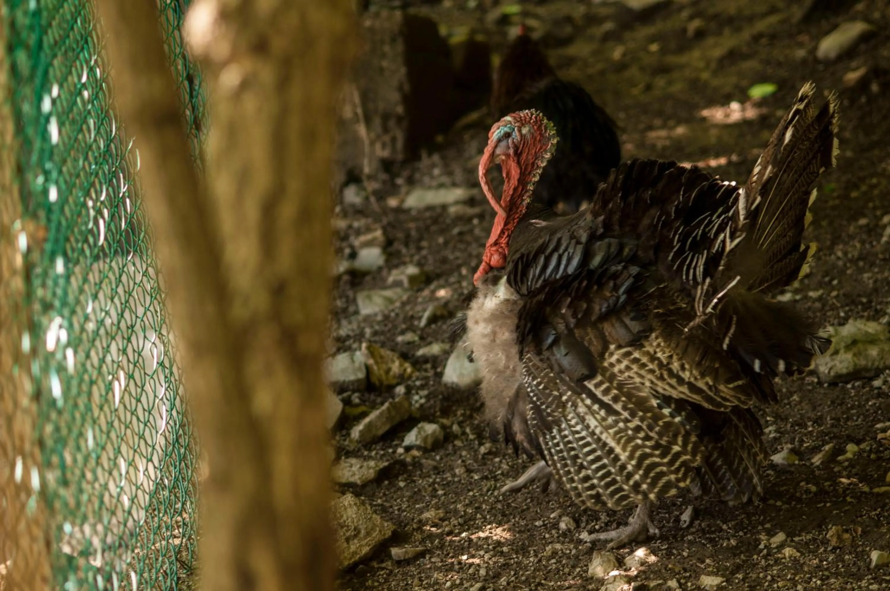 B&B Botton d'Oro Valle Imagna