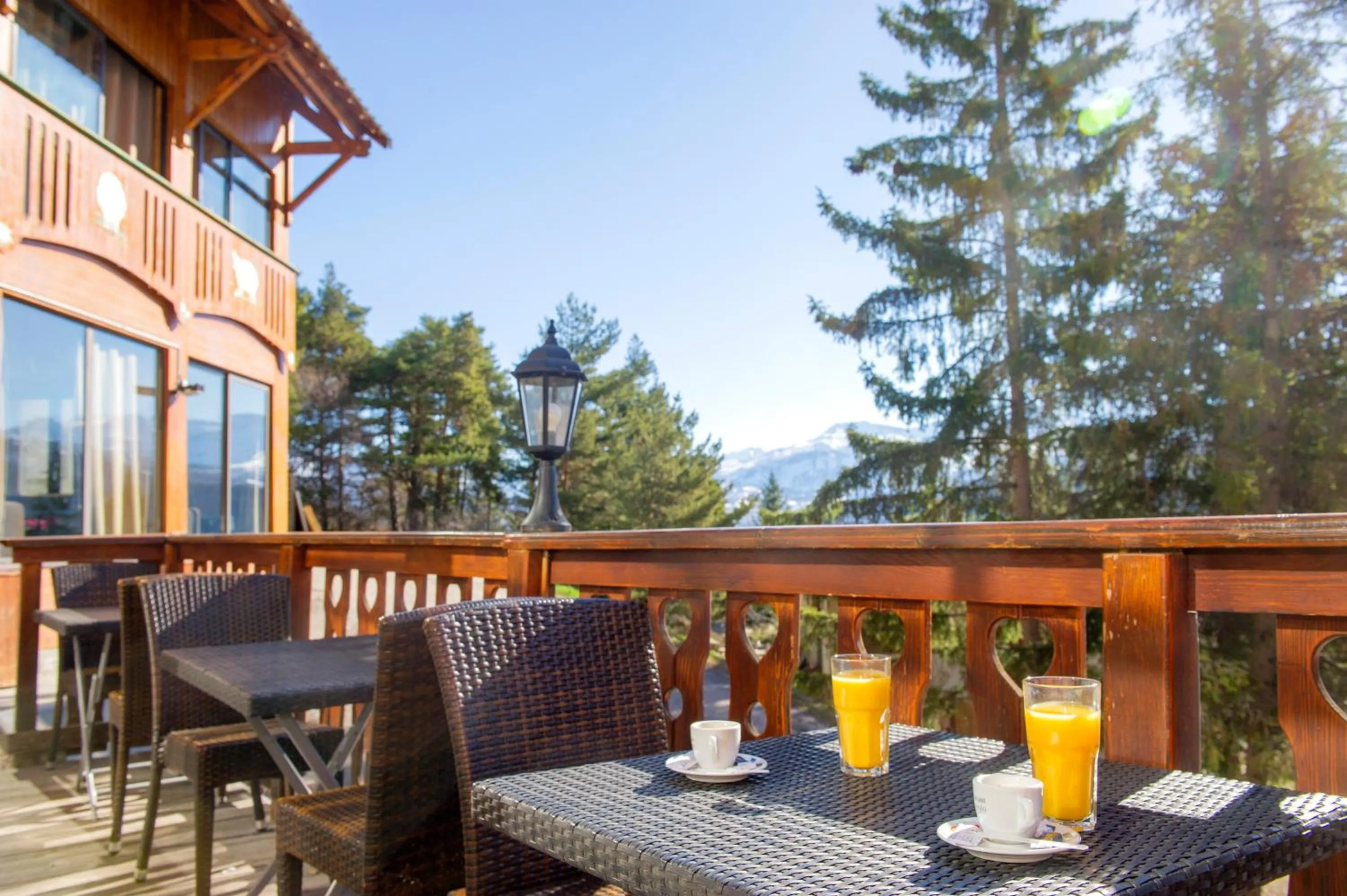 Balcony/Terrace in SOWELL Family Les Bergers