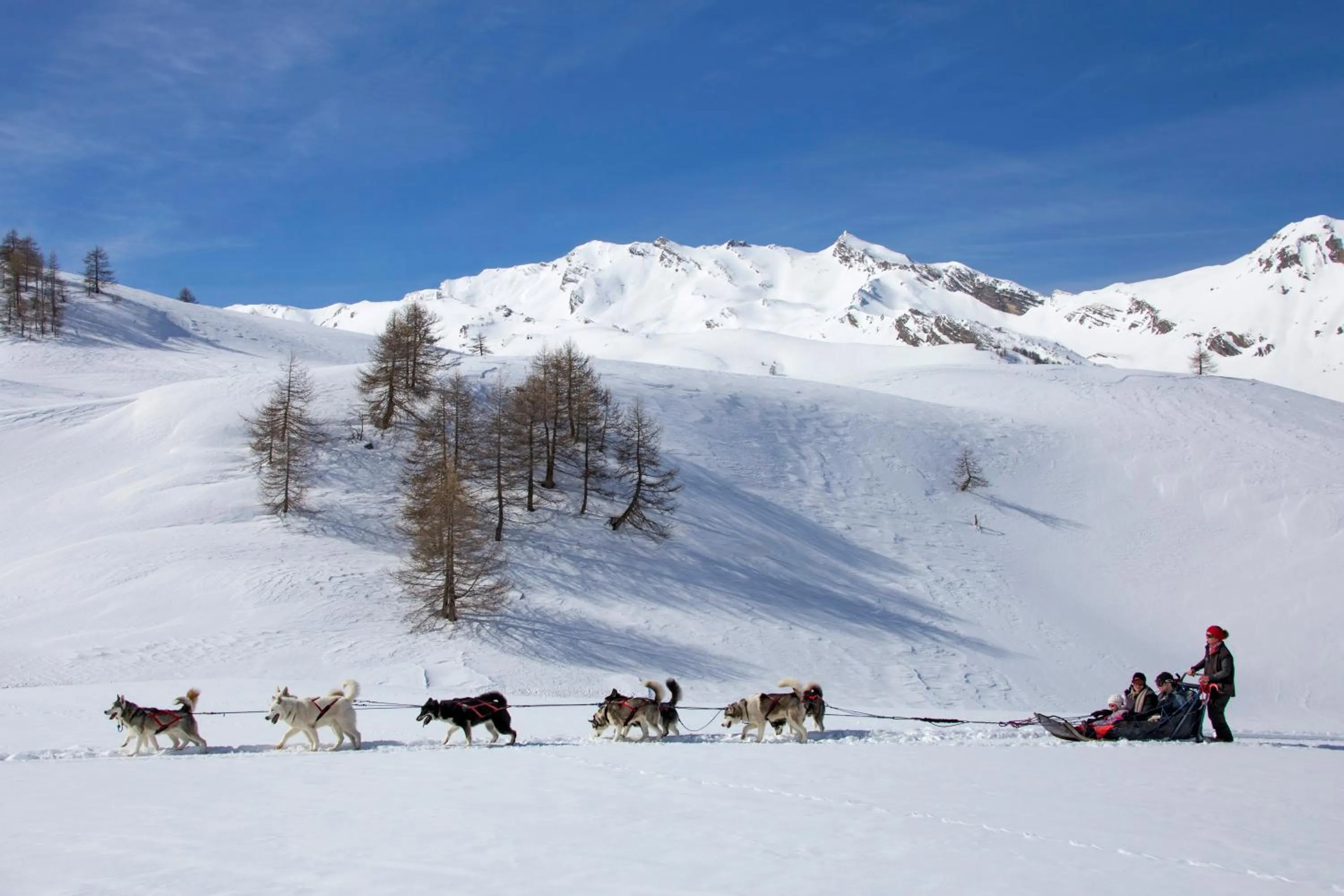 Activities in SOWELL Family Les Bergers