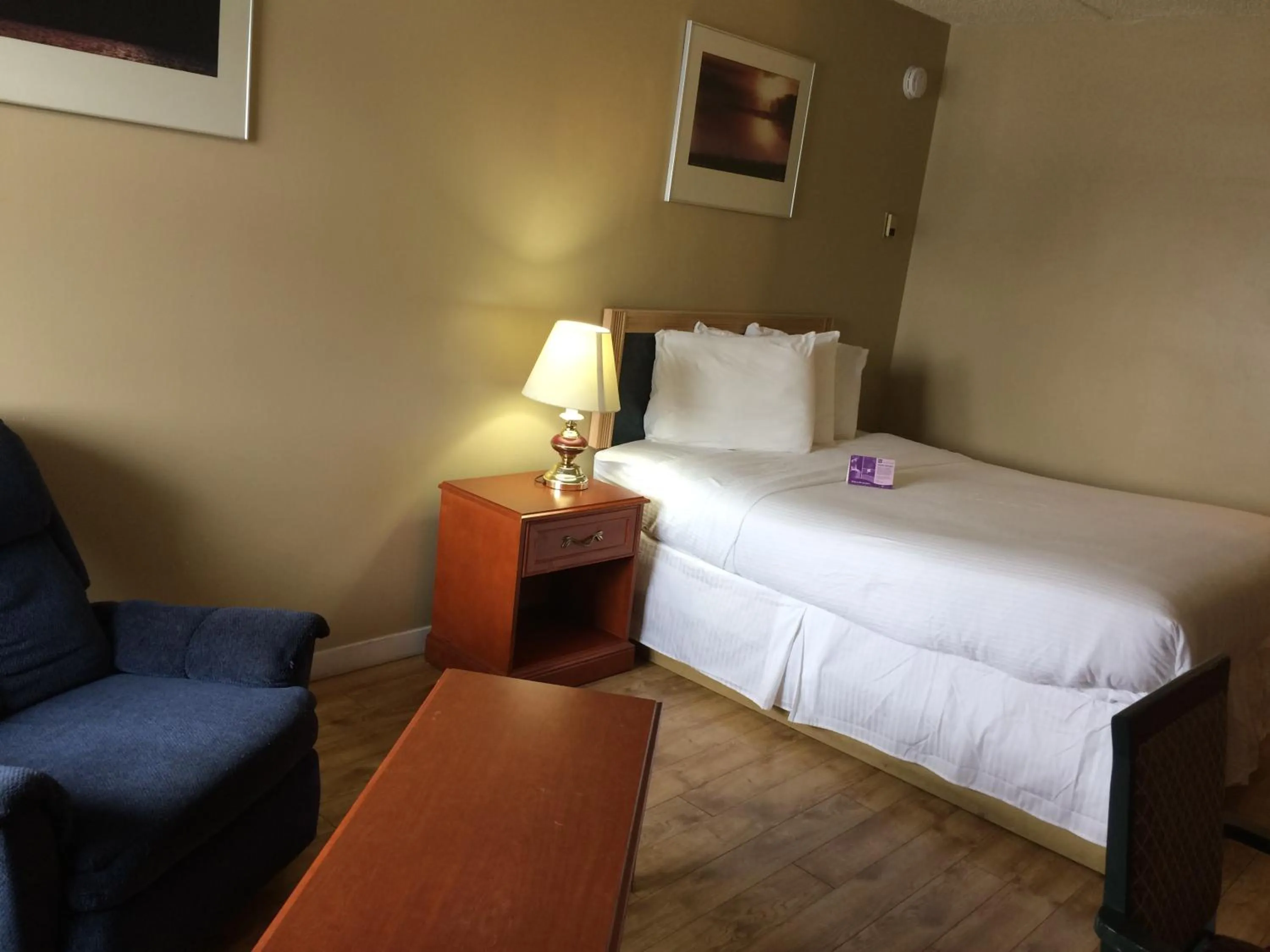 Animals, Bed in Nice Inn Edmonton