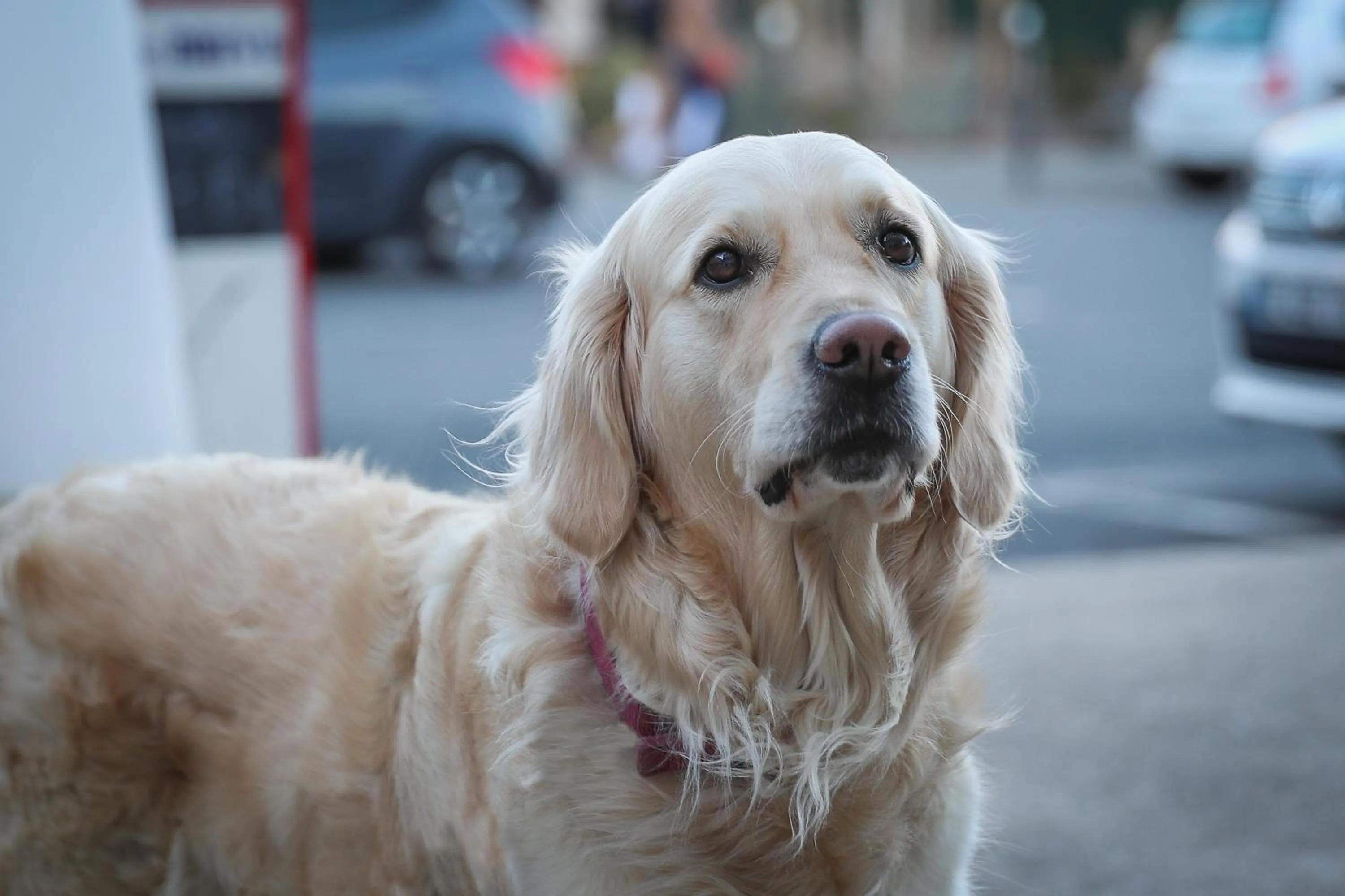 Lobby or reception in Hôtel La Réserve de Brive