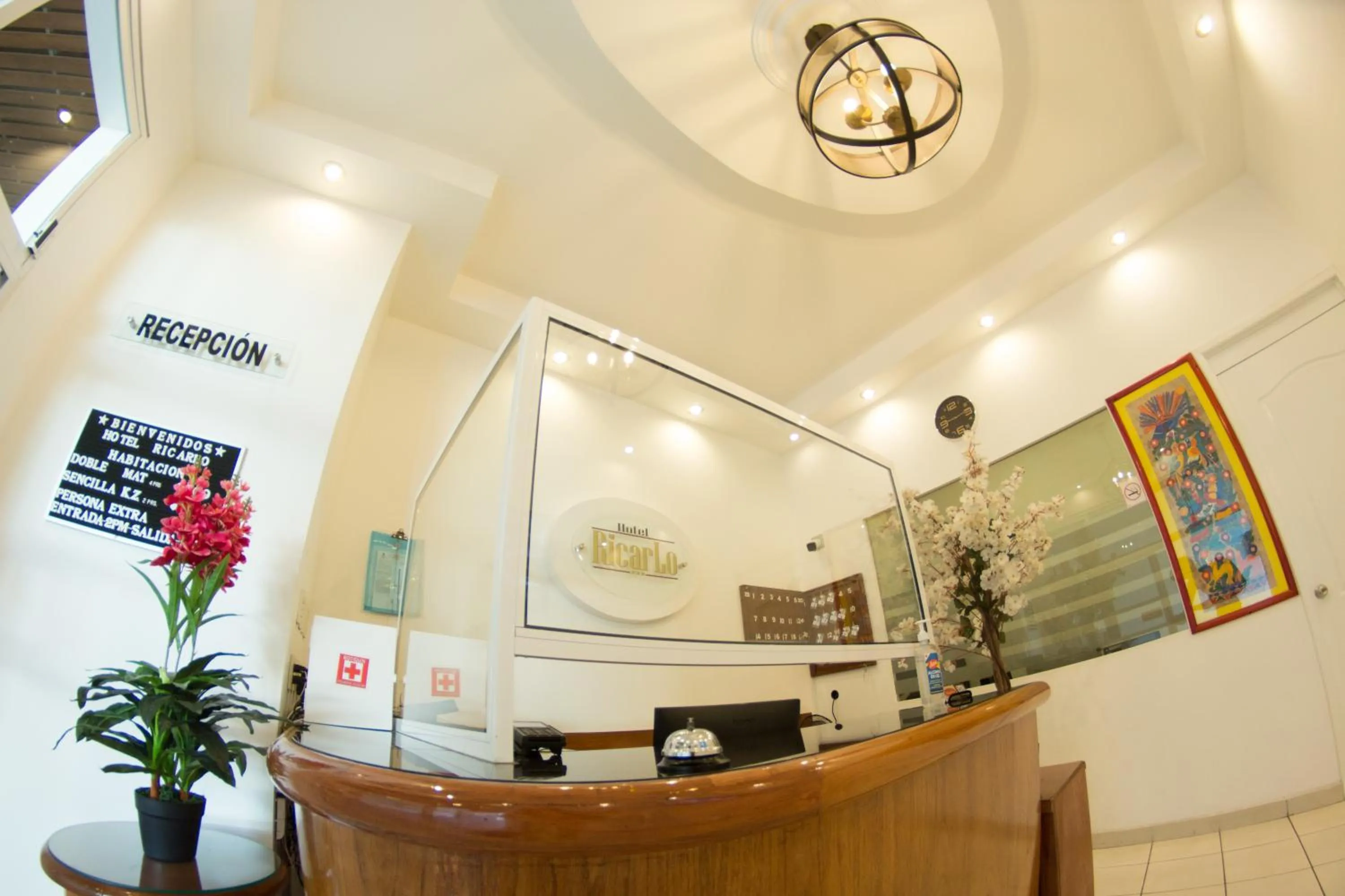 Lobby or reception in HOTEL RICARLO