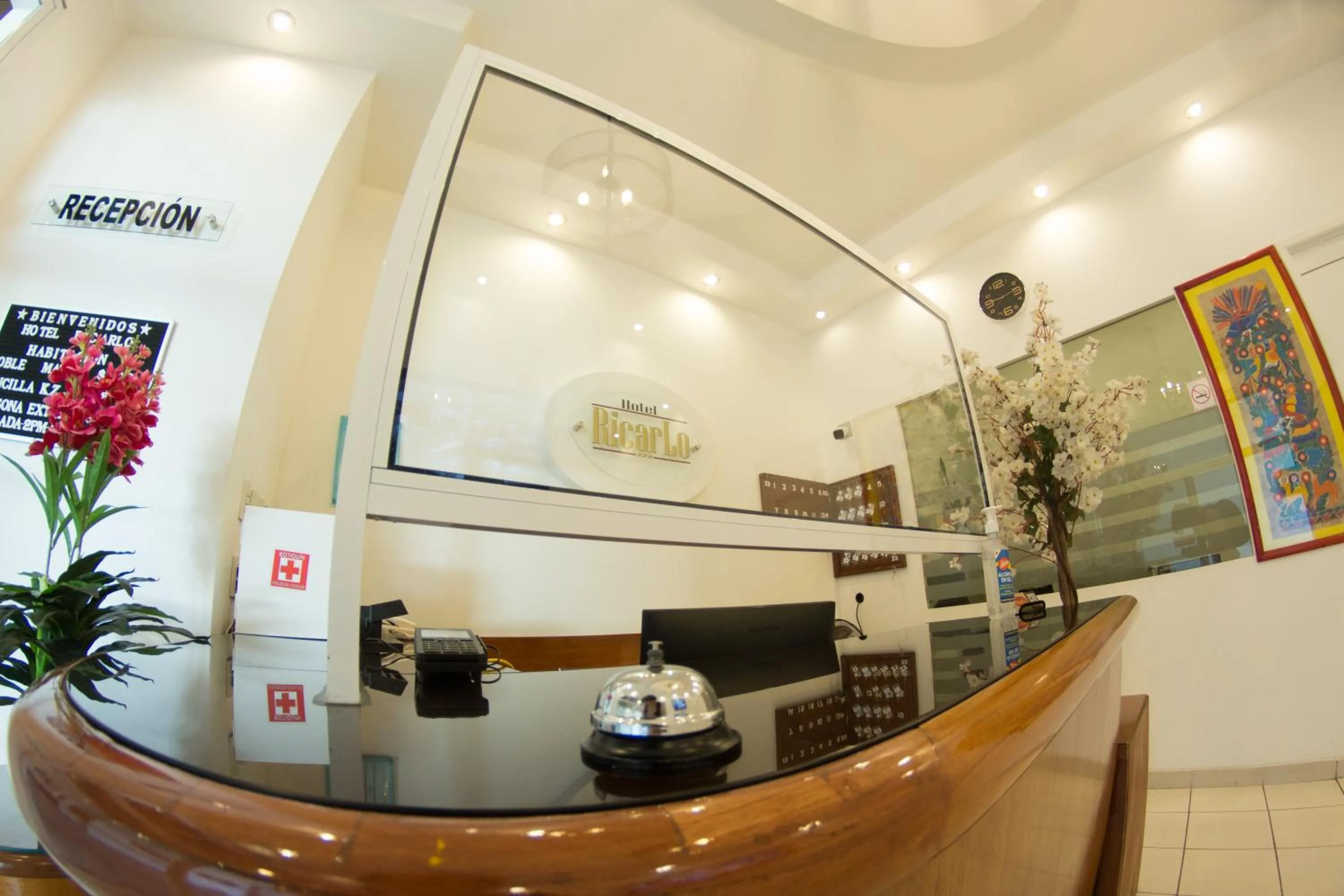 Lobby or reception in HOTEL RICARLO