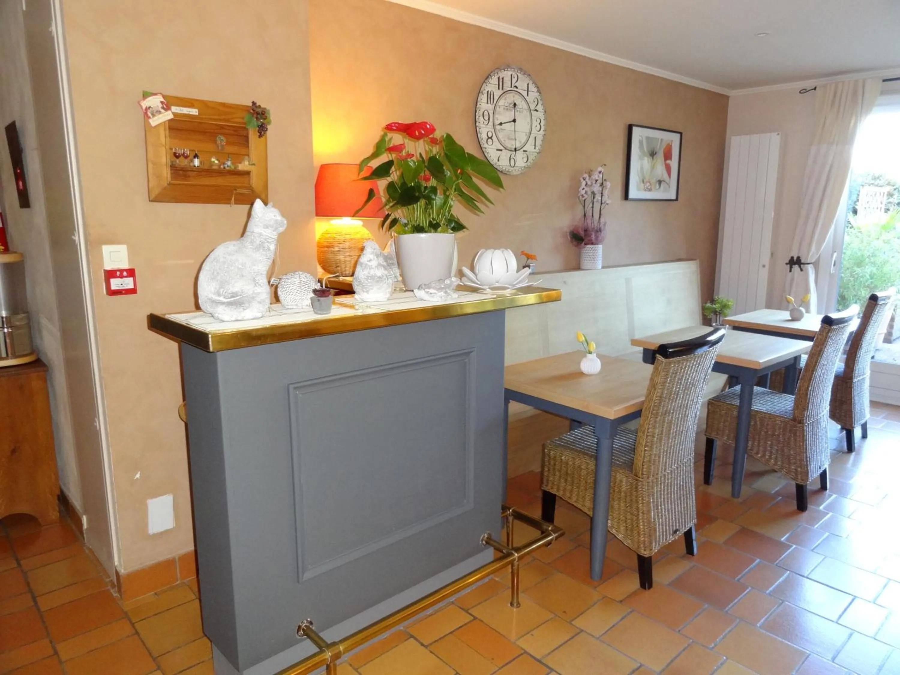 Area and facilities in Hôtel des Vignes - Juliénas