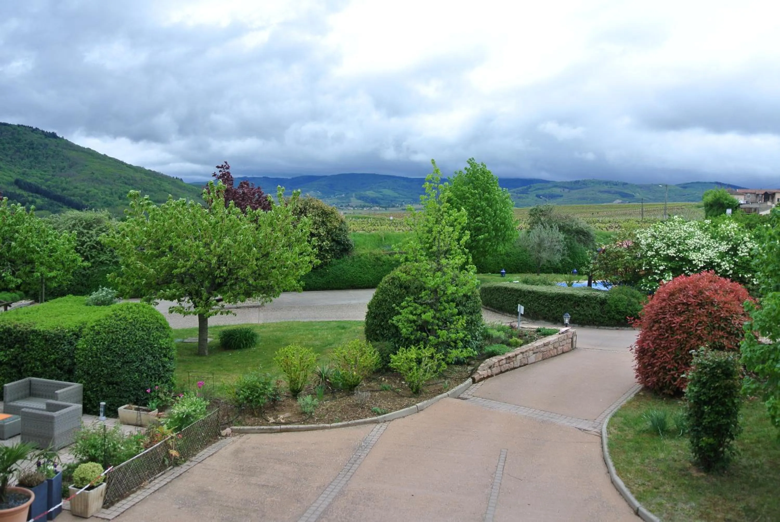 Swimming pool in Hôtel des Vignes - Juliénas