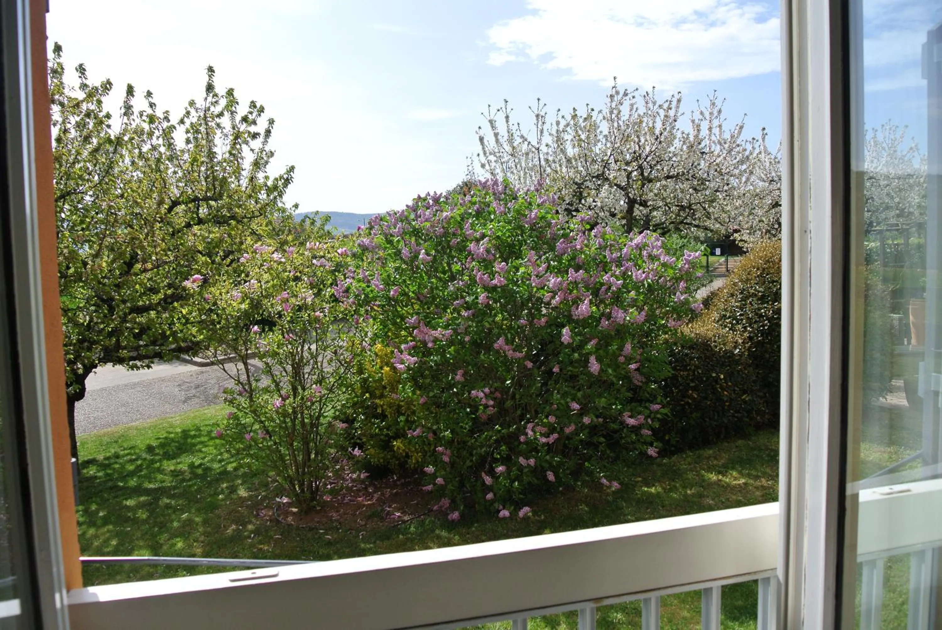 Garden view in Hôtel des Vignes - Juliénas
