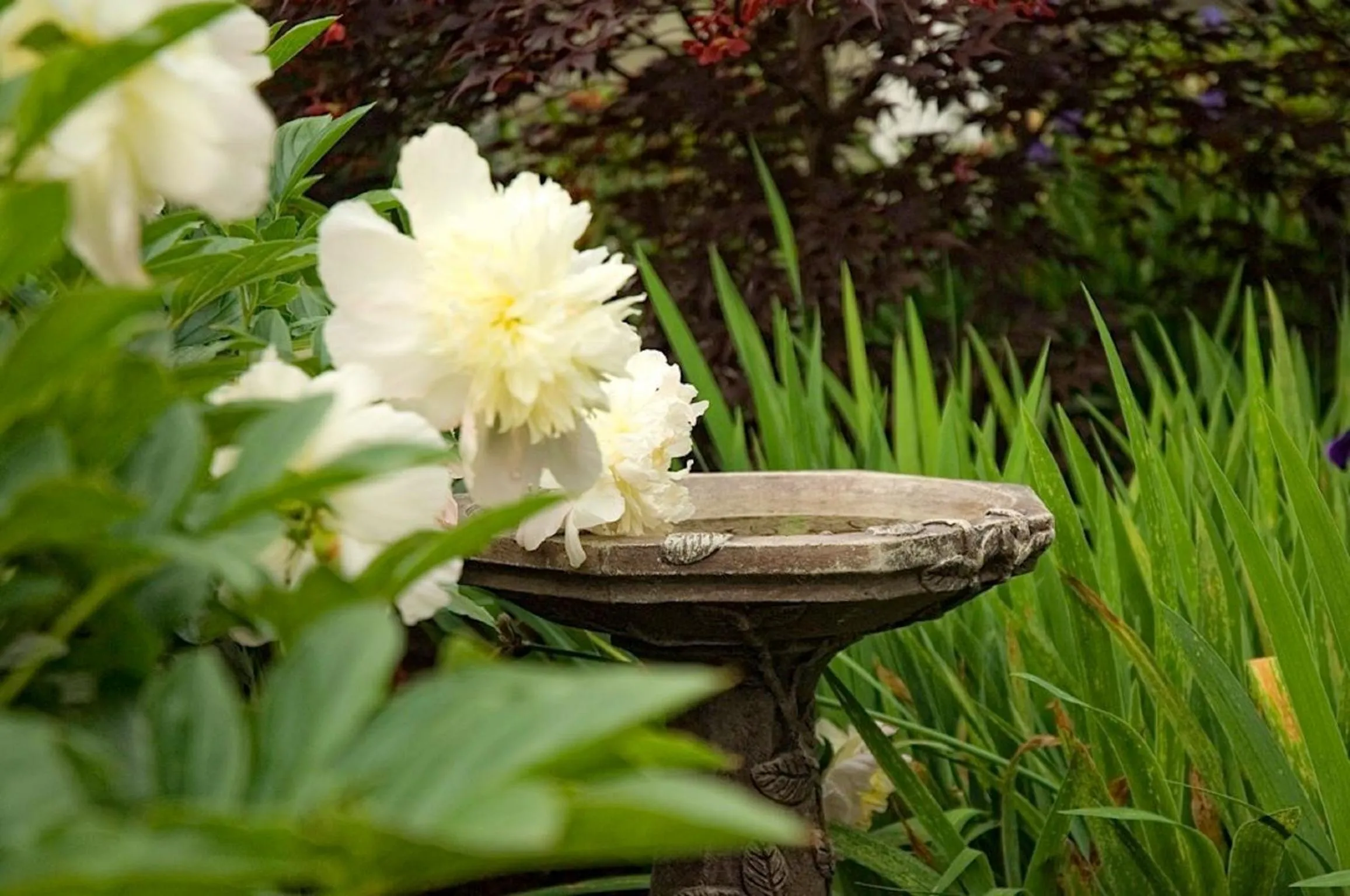 Decorative detail in Bar Harbor Manor