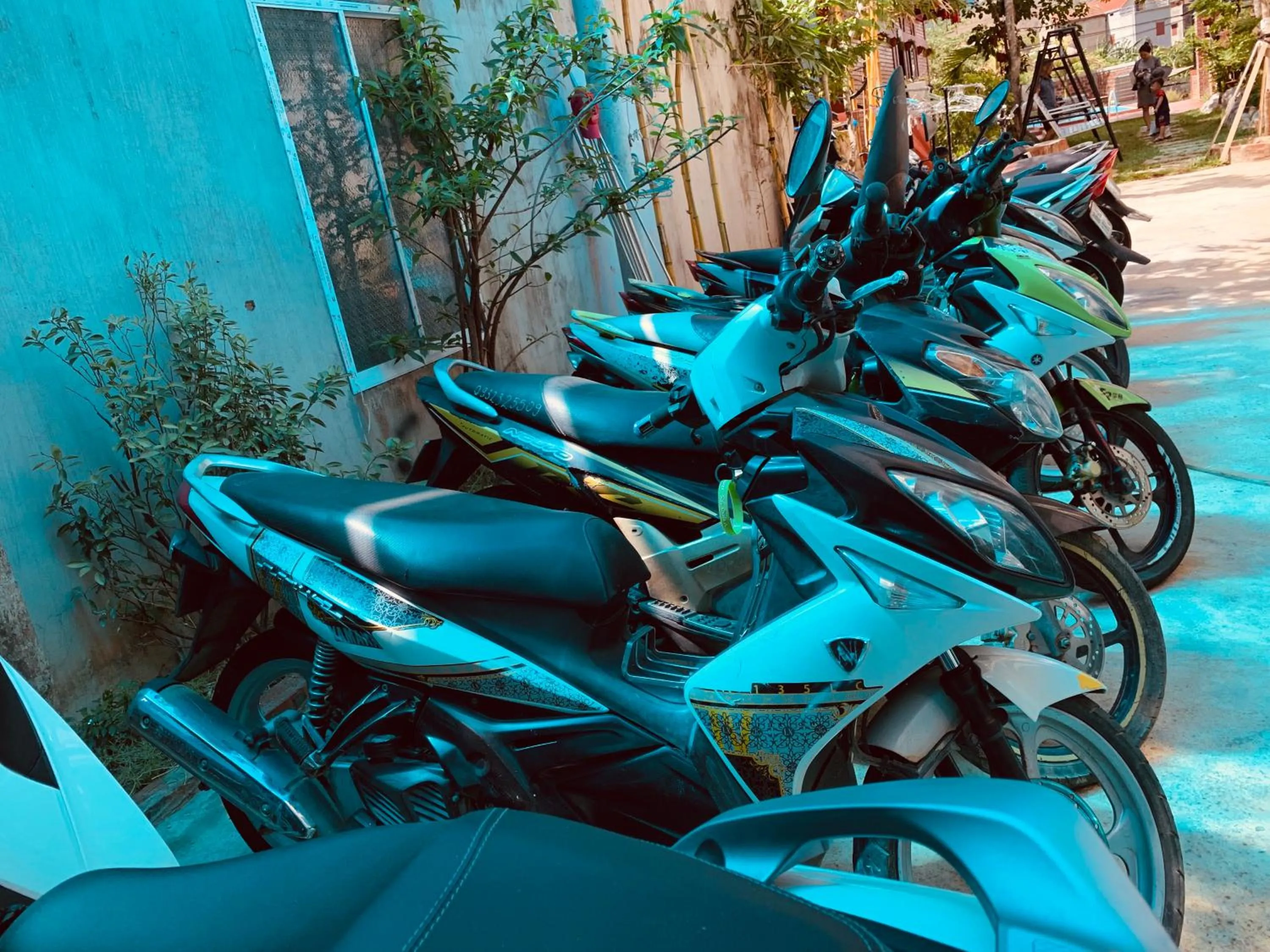 Other in Vu's Homestay