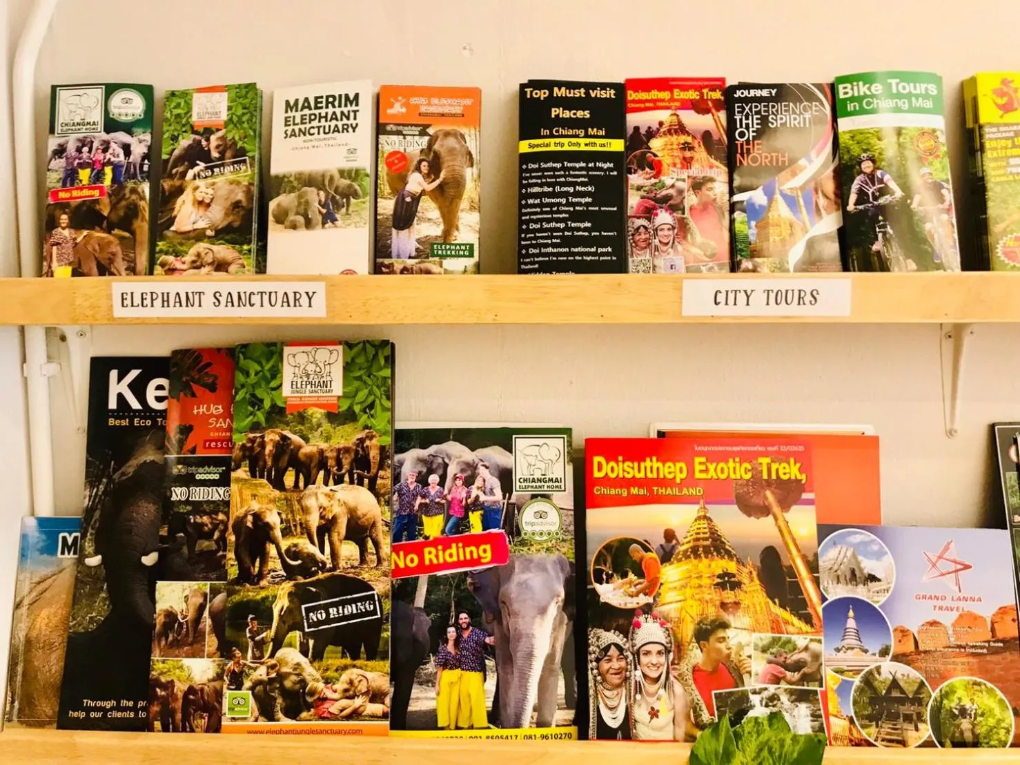 Activities in Lemonap Hostel