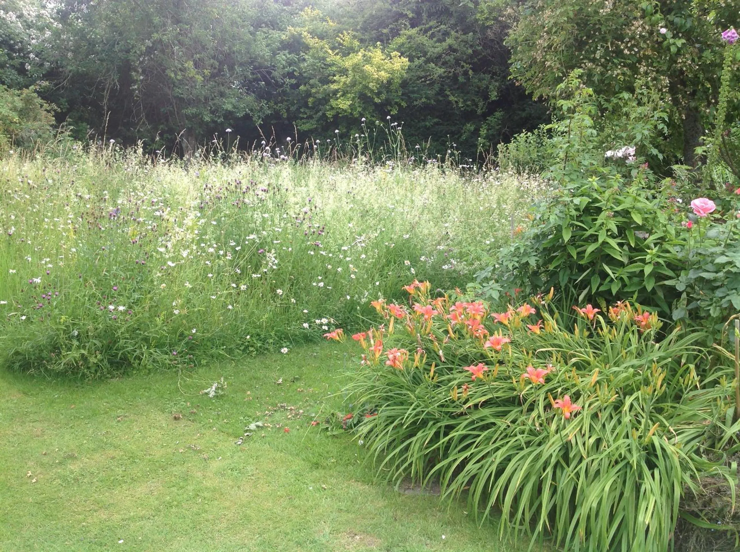 Property building in The Mill House