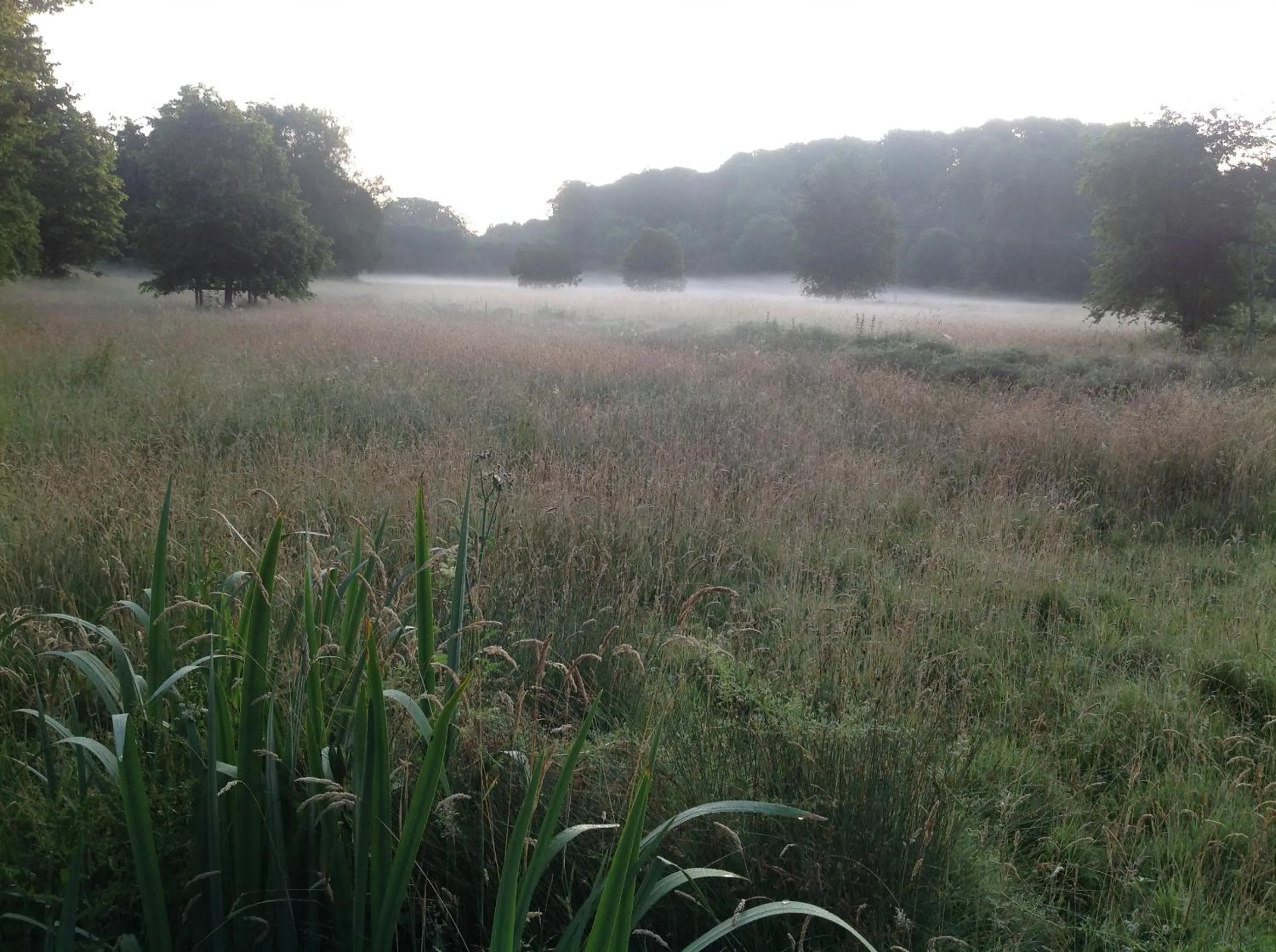 Natural landscape in The Mill House