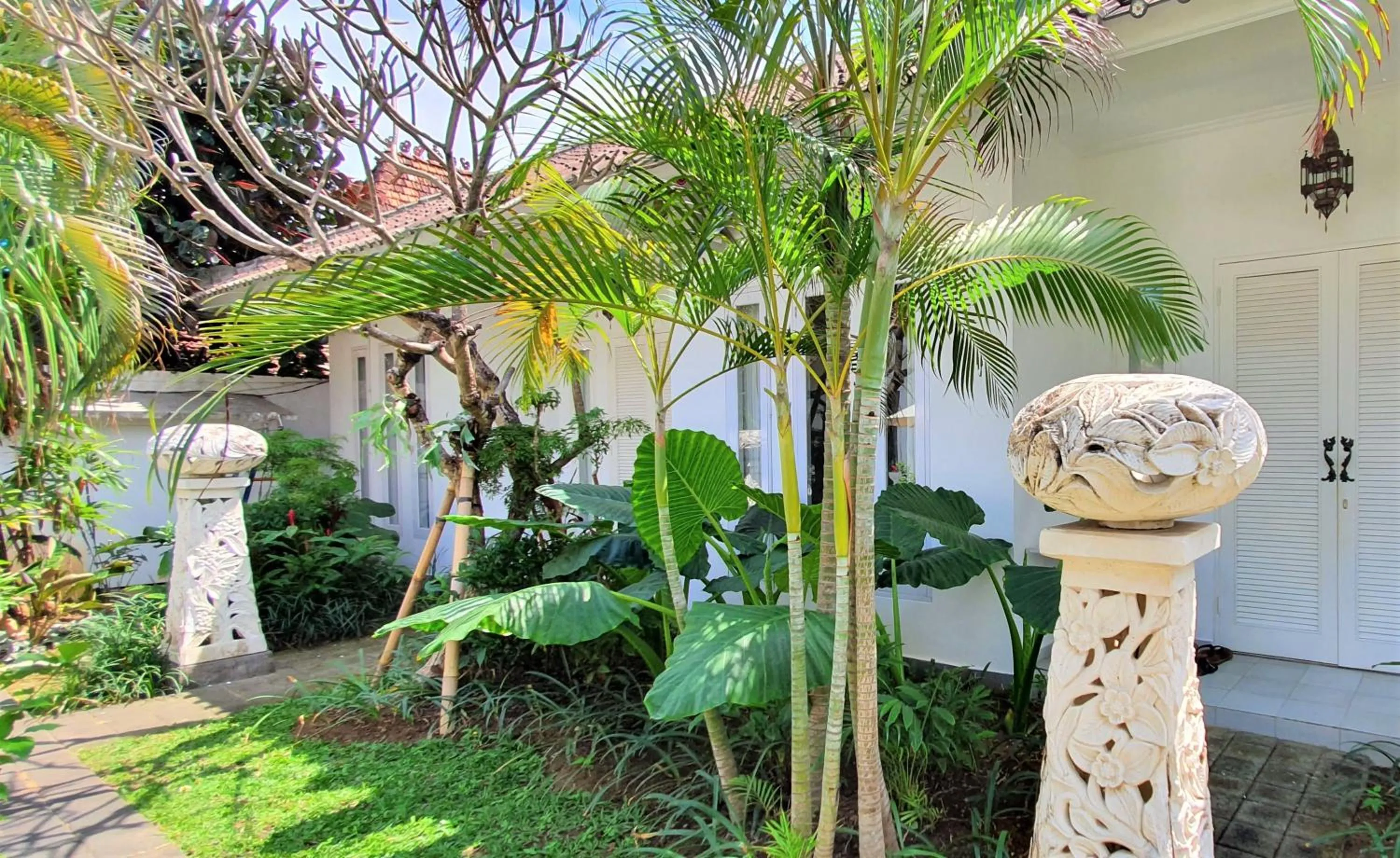 Garden in Starling villas