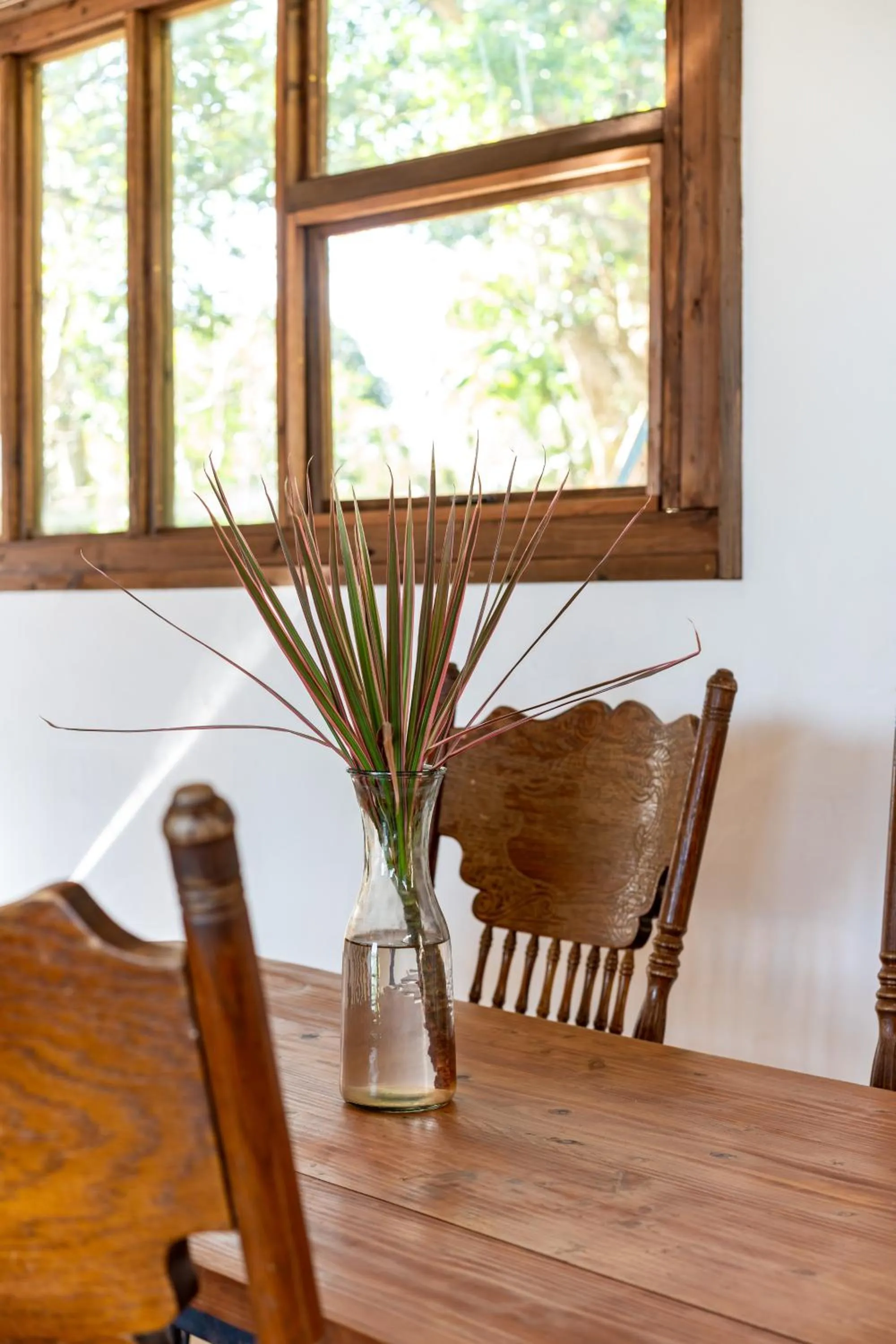 Photo of the whole room in Tree-house Hotel Morinosubako