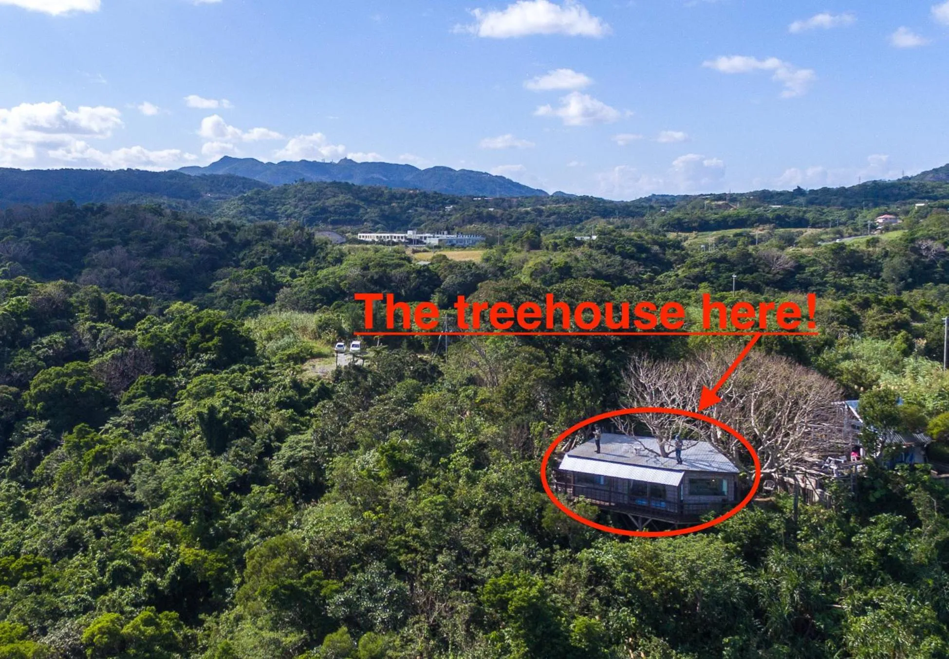 Natural landscape in Tree-house Hotel Morinosubako