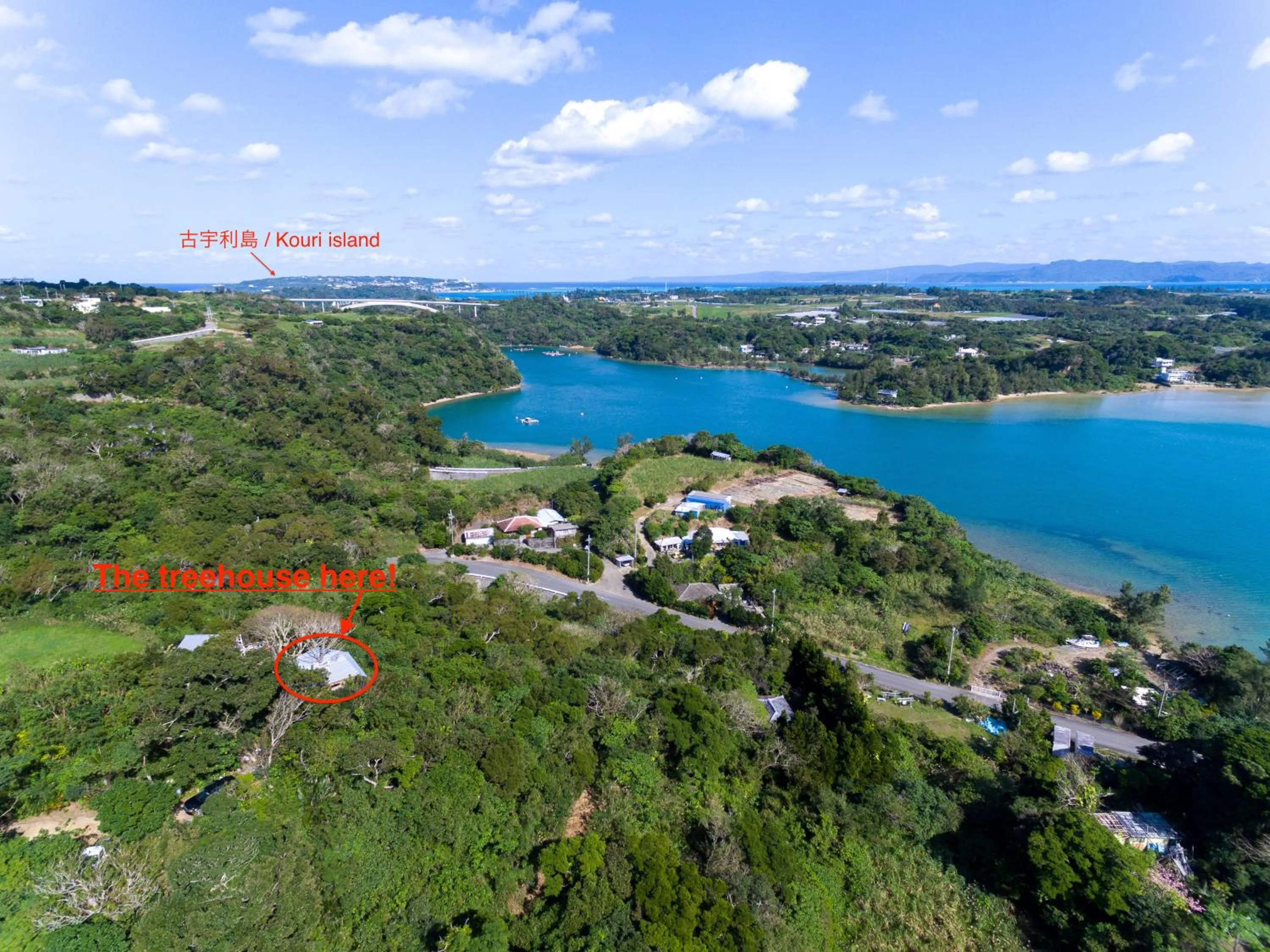 Natural landscape in Tree-house Hotel Morinosubako