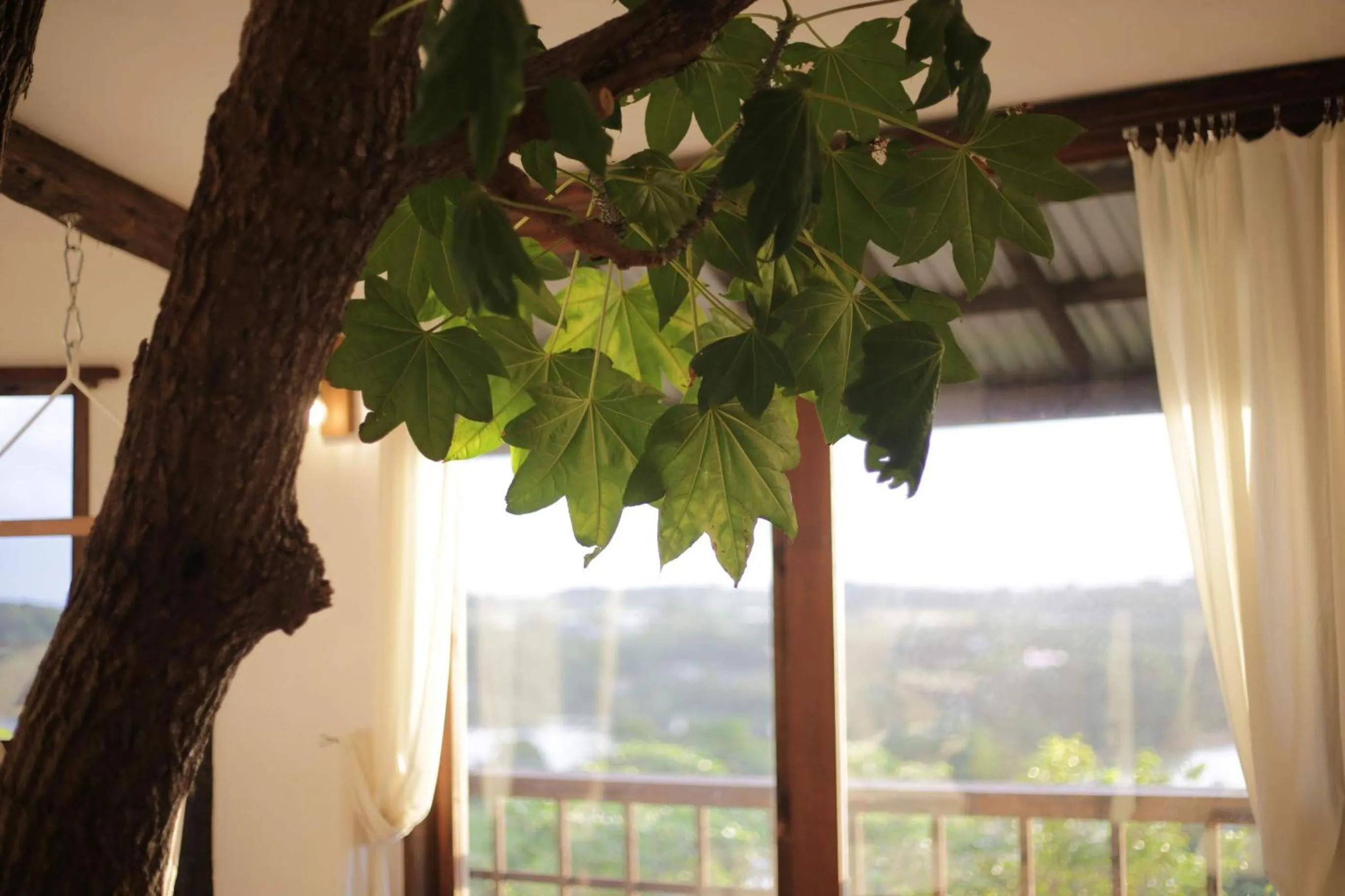 Photo of the whole room in Tree-house Hotel Morinosubako