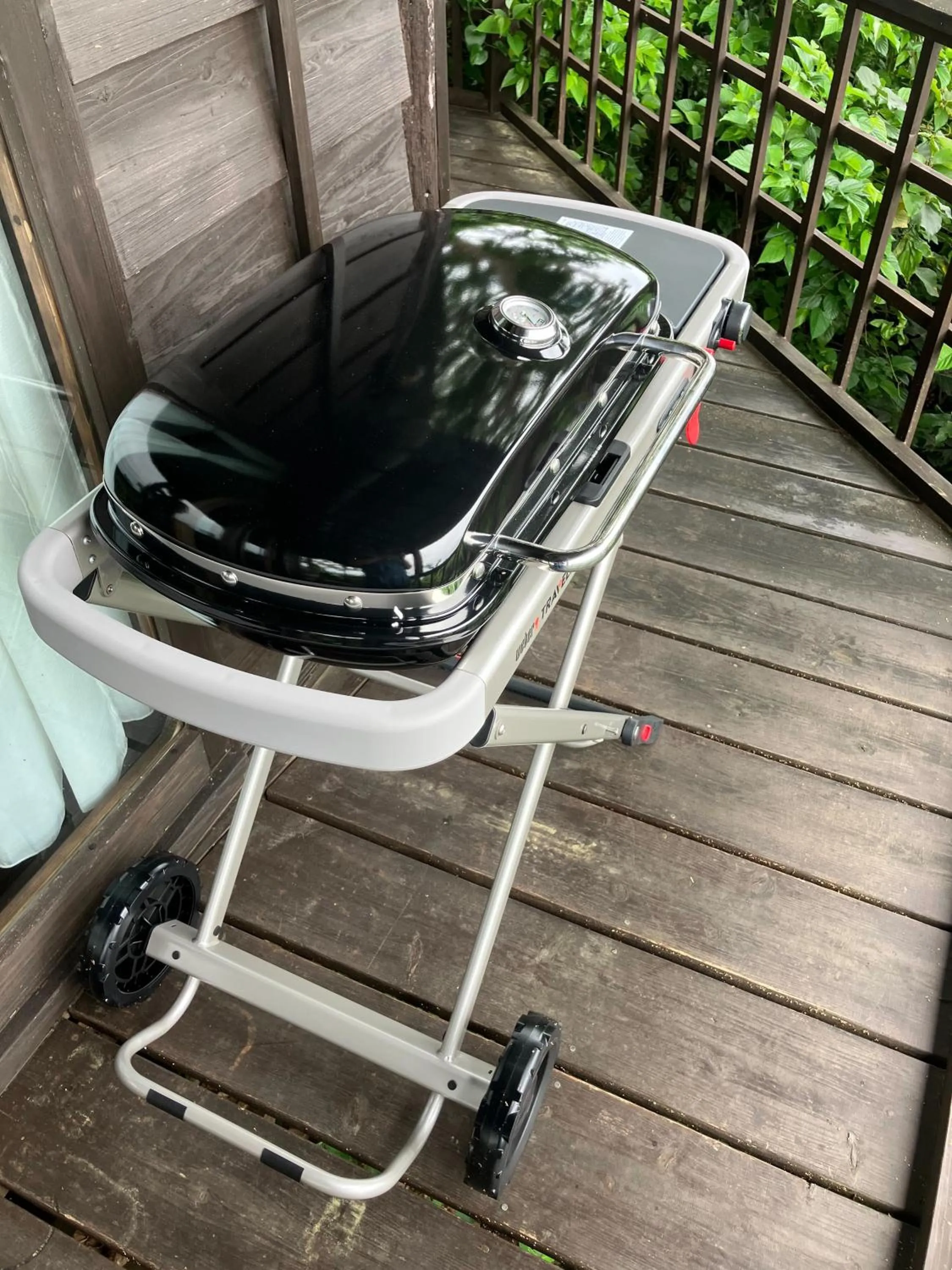 Tree-house Hotel Morinosubako