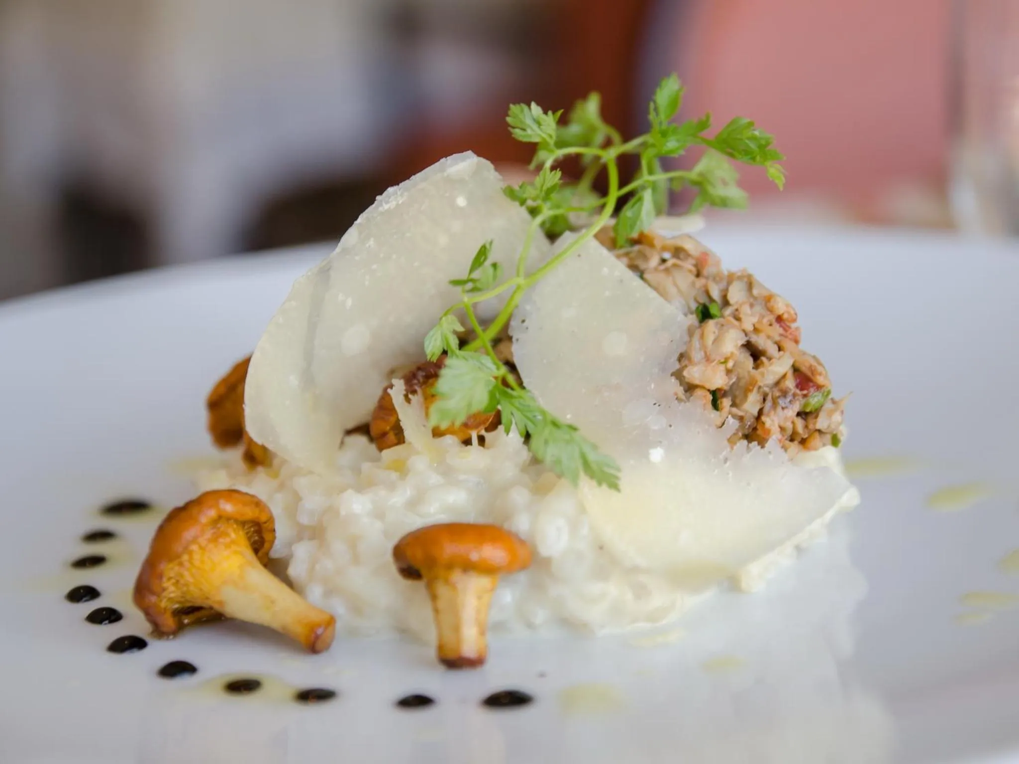 Food and drinks in Hôtel L' Estelle en Camargue