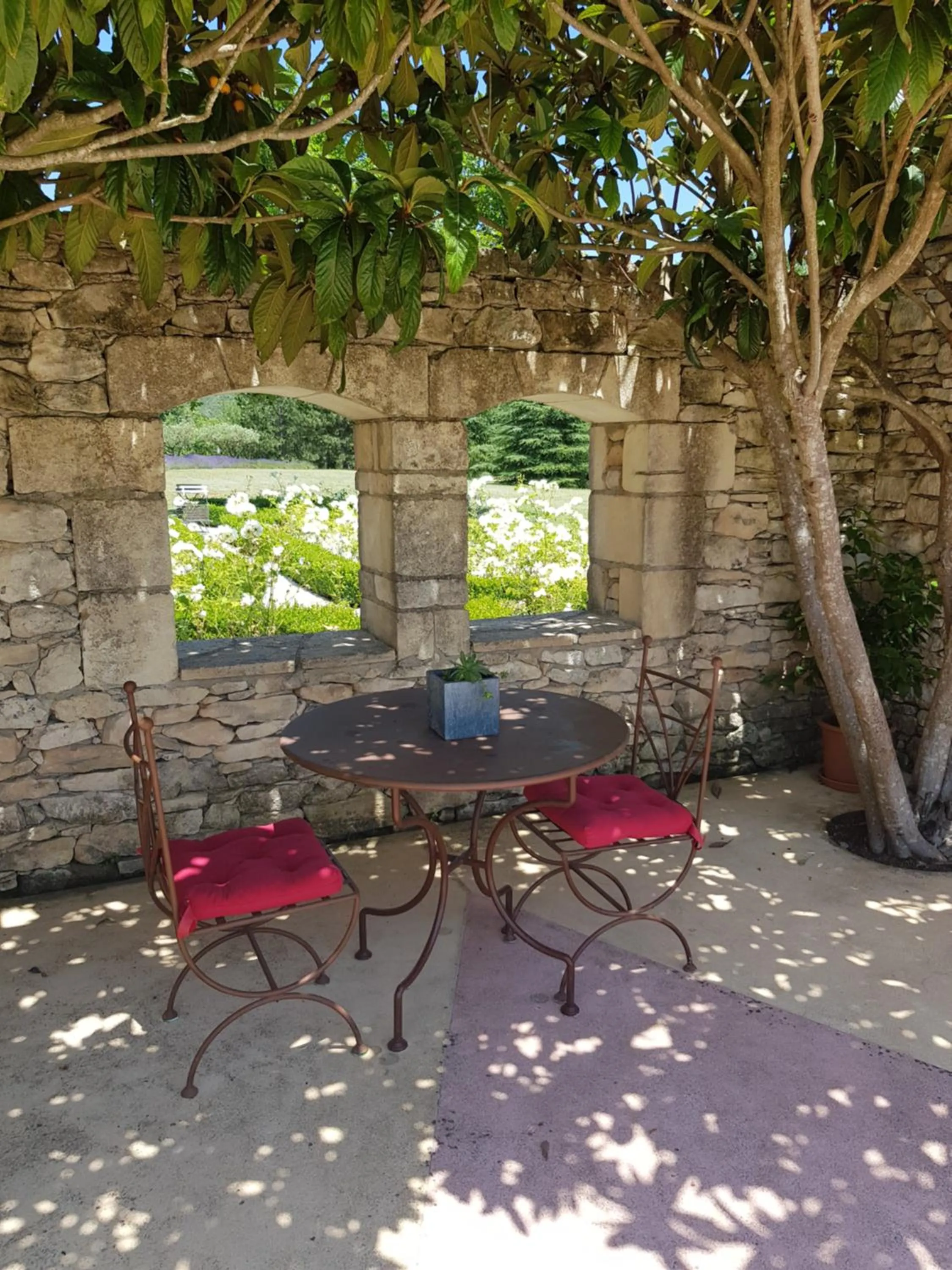 Les Néfliers chambre d'hôtes