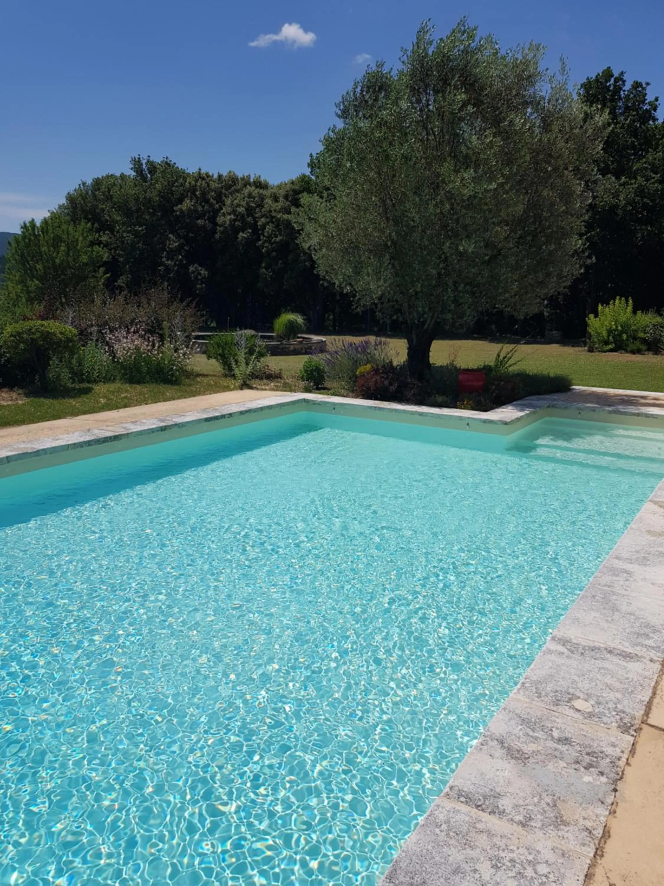 Swimming pool in Les Néfliers chambre d'hôtes