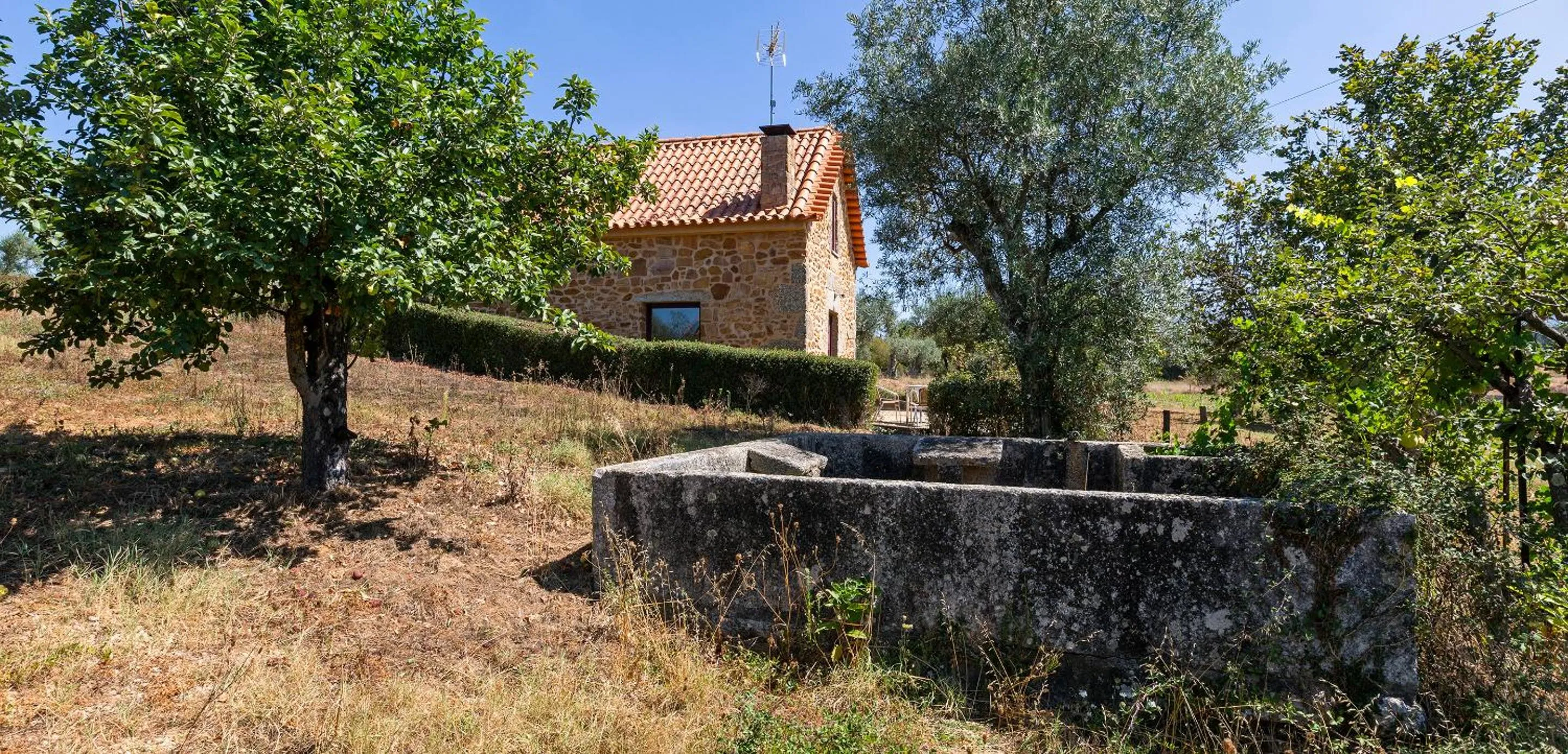 Quinta do Chão da Vinha