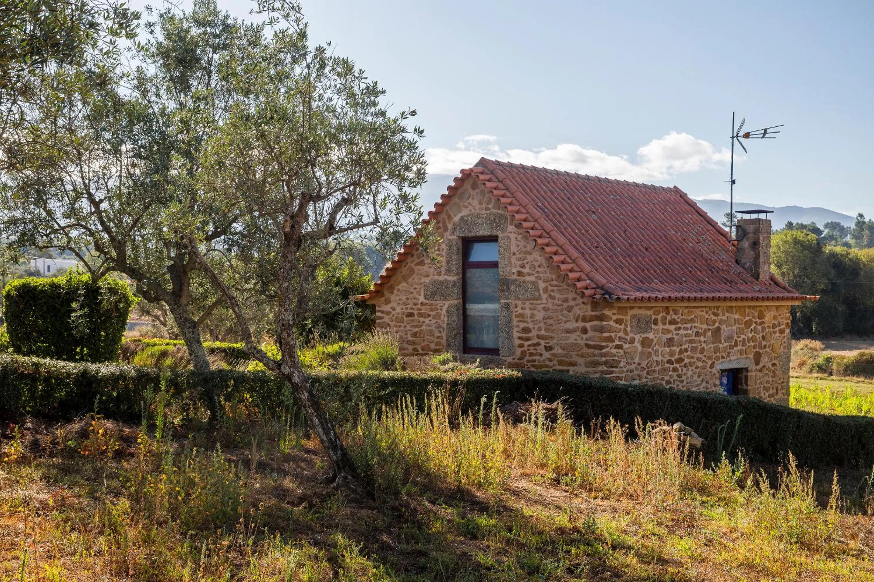 Quinta do Chão da Vinha