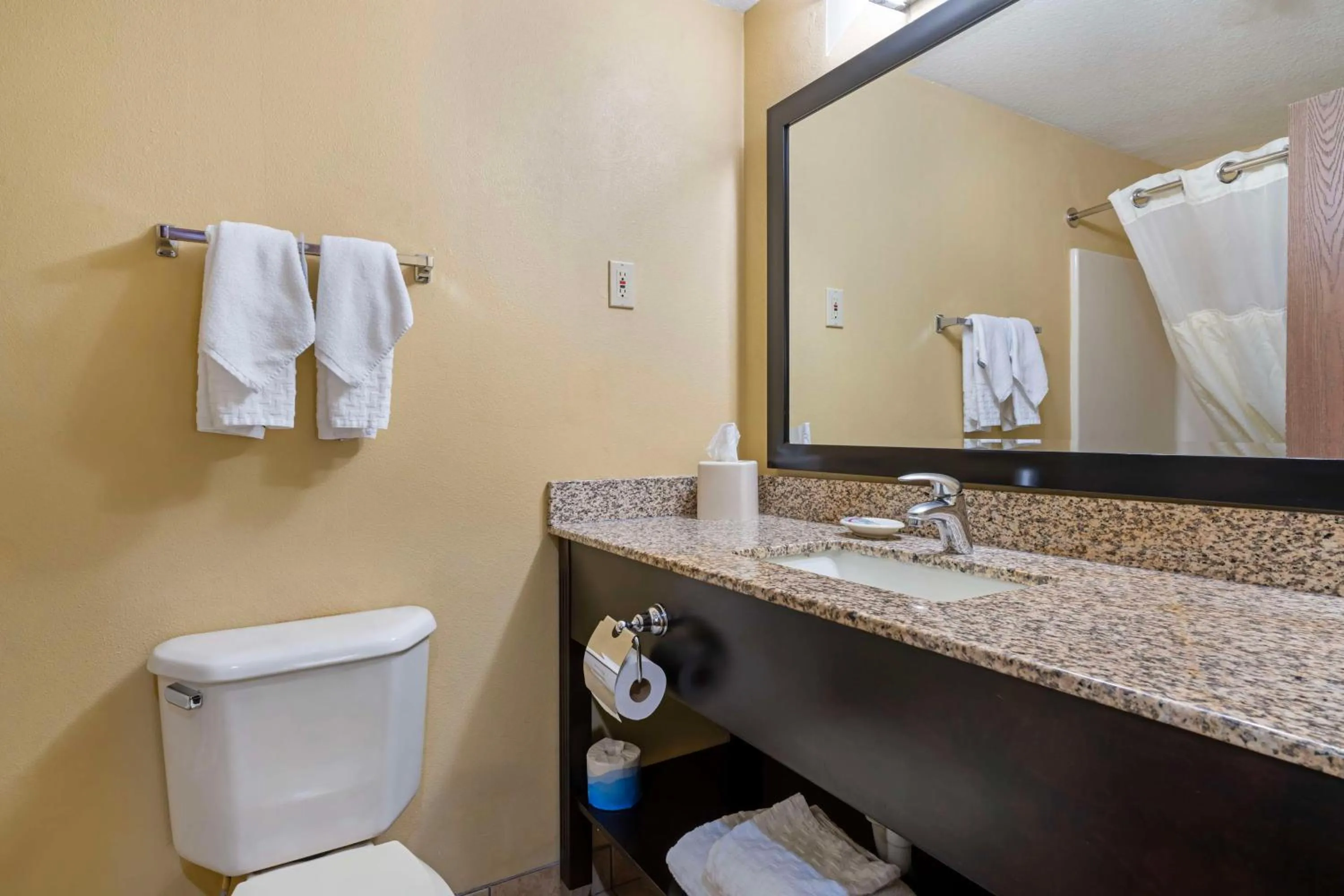 Bathroom in Best Western Cascade Inn & Suites