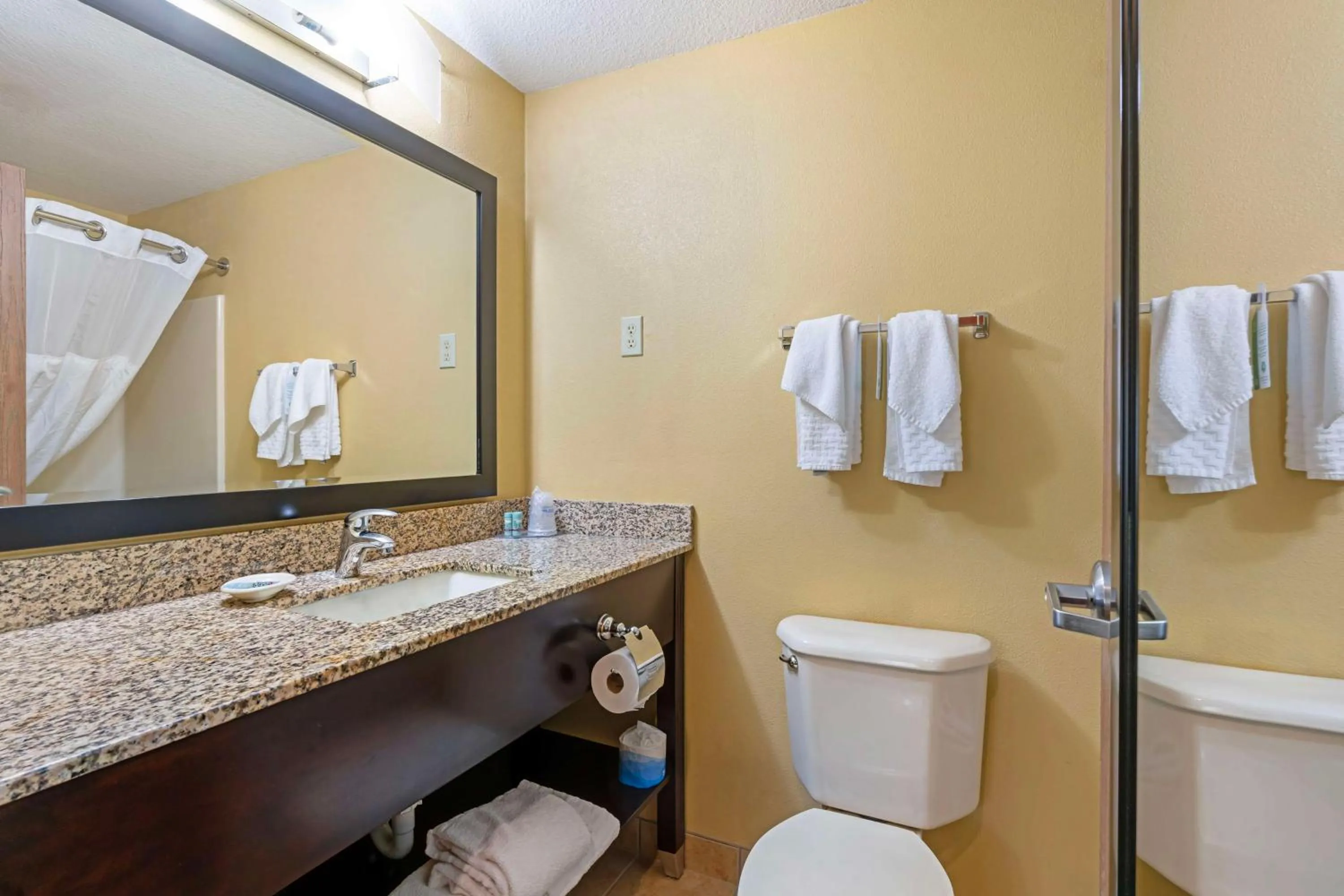 Bathroom in Best Western Cascade Inn & Suites