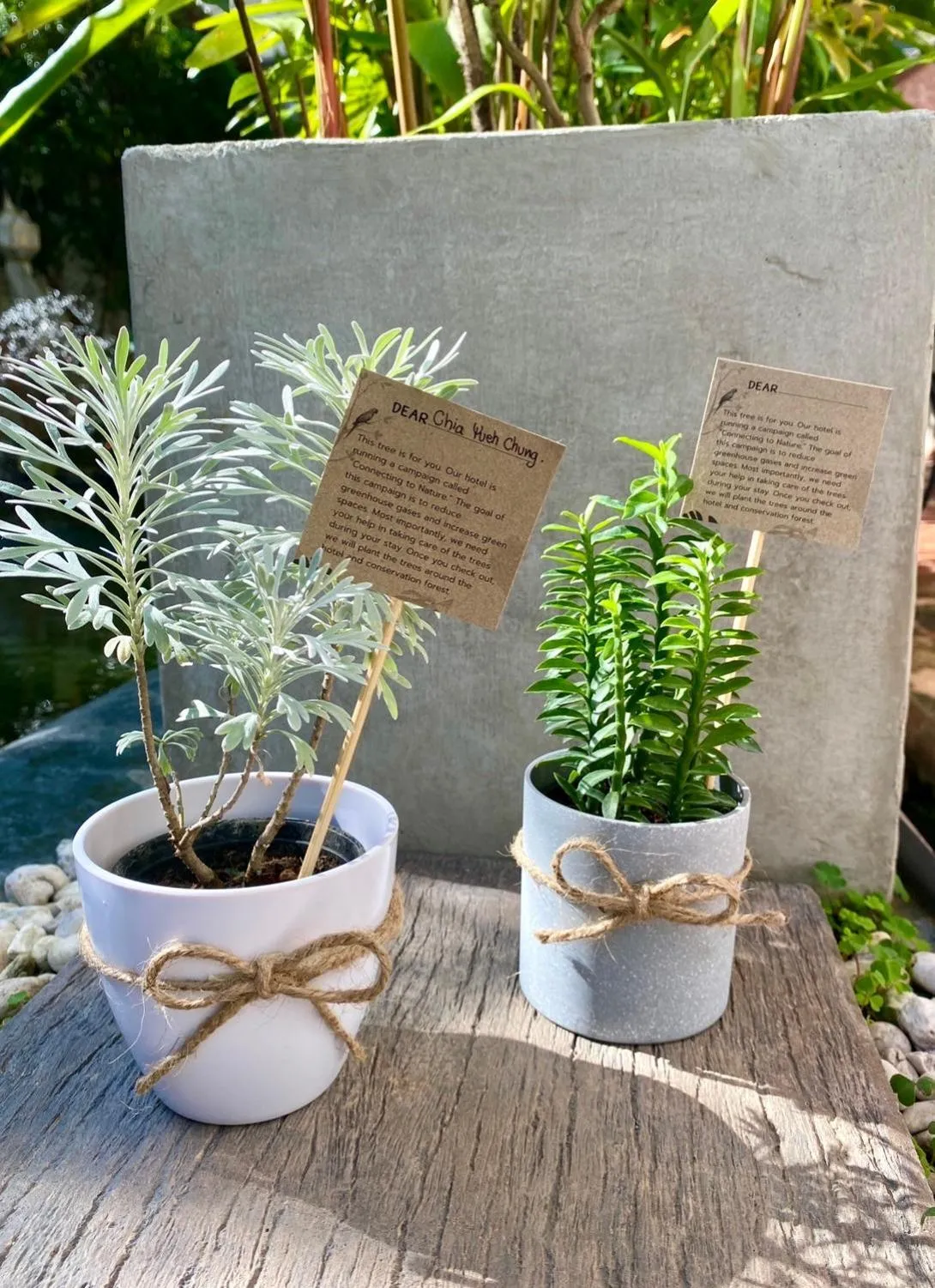 Property building in The Experience Walking Street Chiang Mai