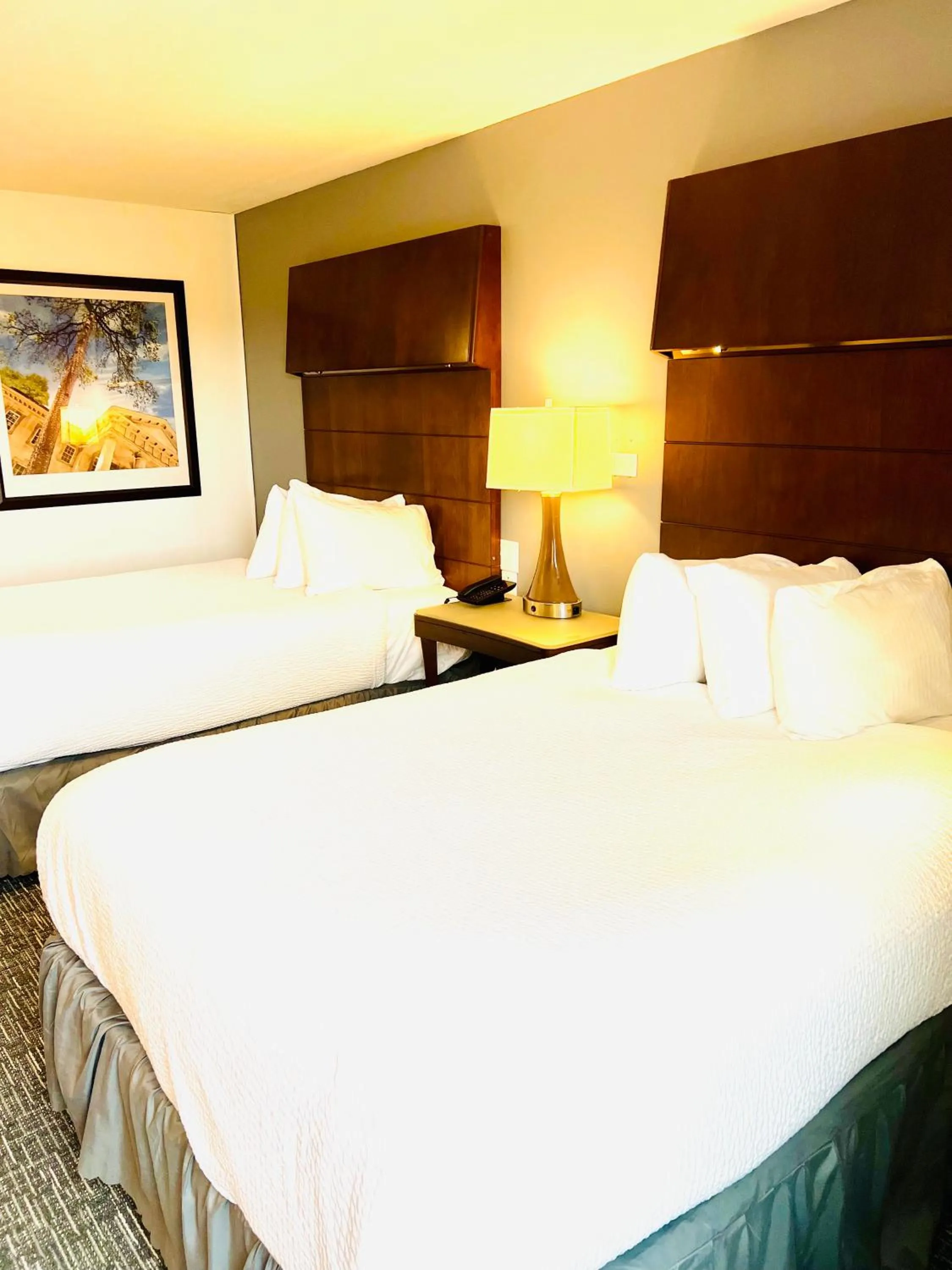 Bed in Quality Inn & Suites Caribou