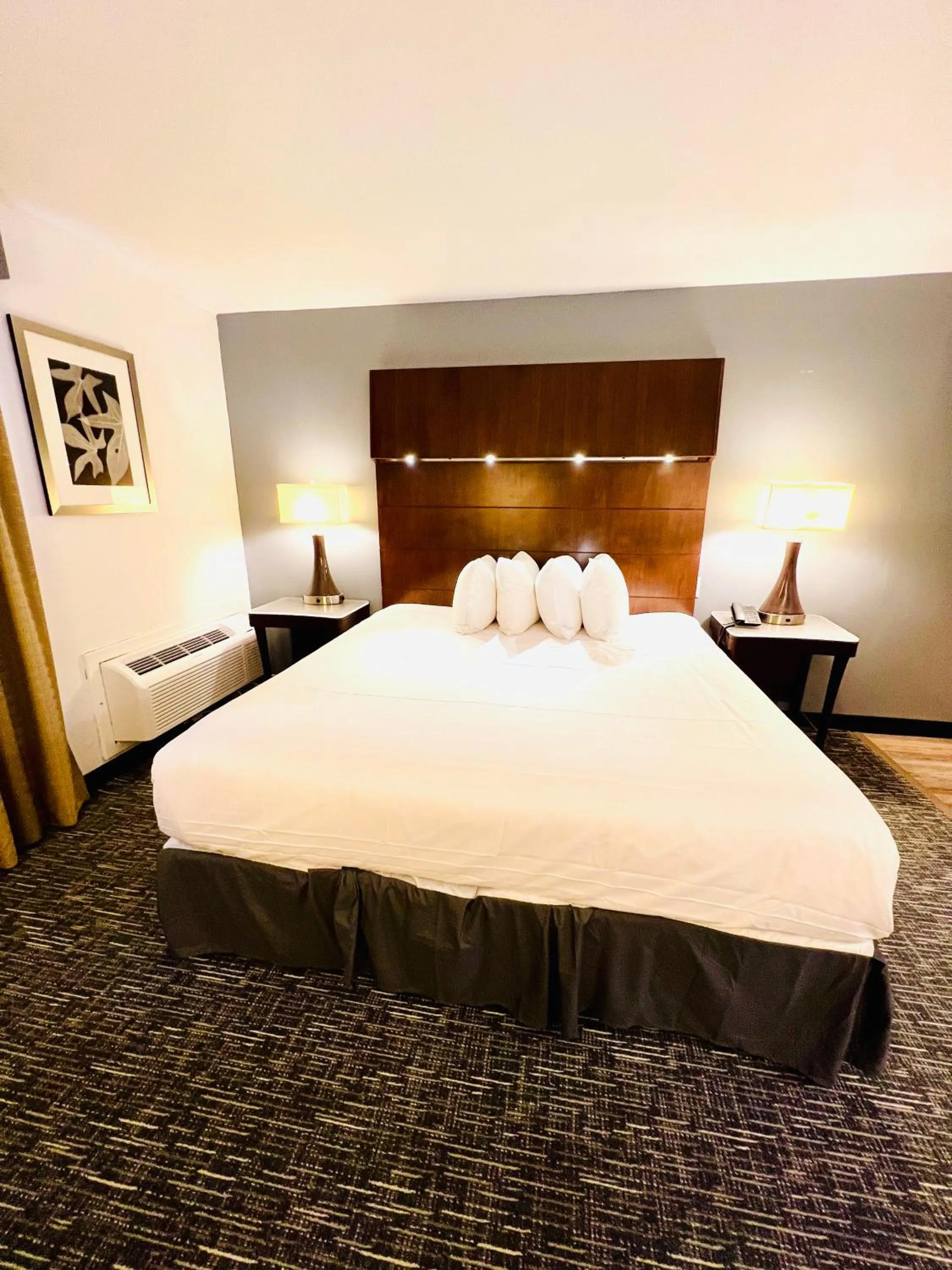 Bed in Quality Inn & Suites Caribou