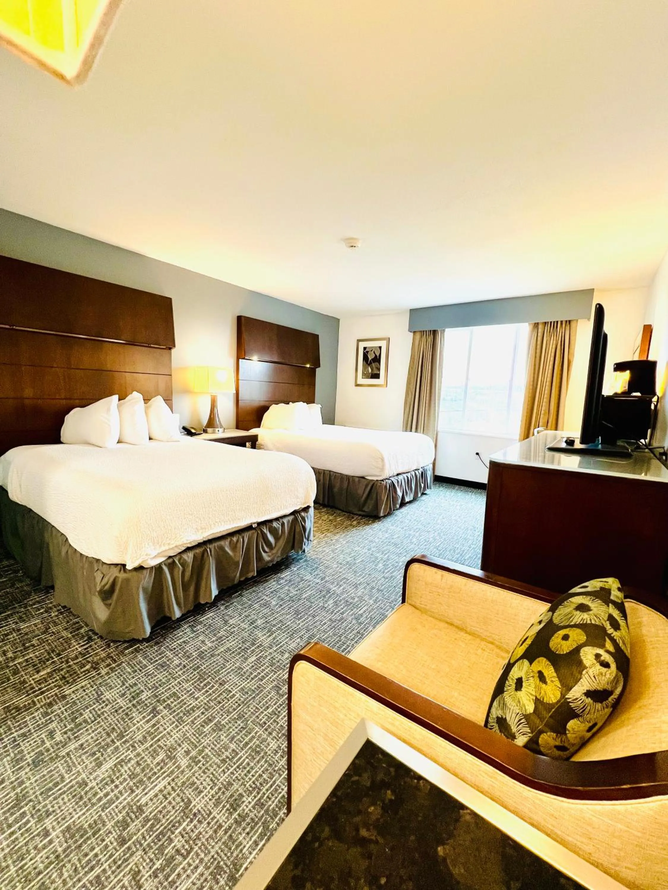 Photo of the whole room, Bed in Quality Inn & Suites Caribou