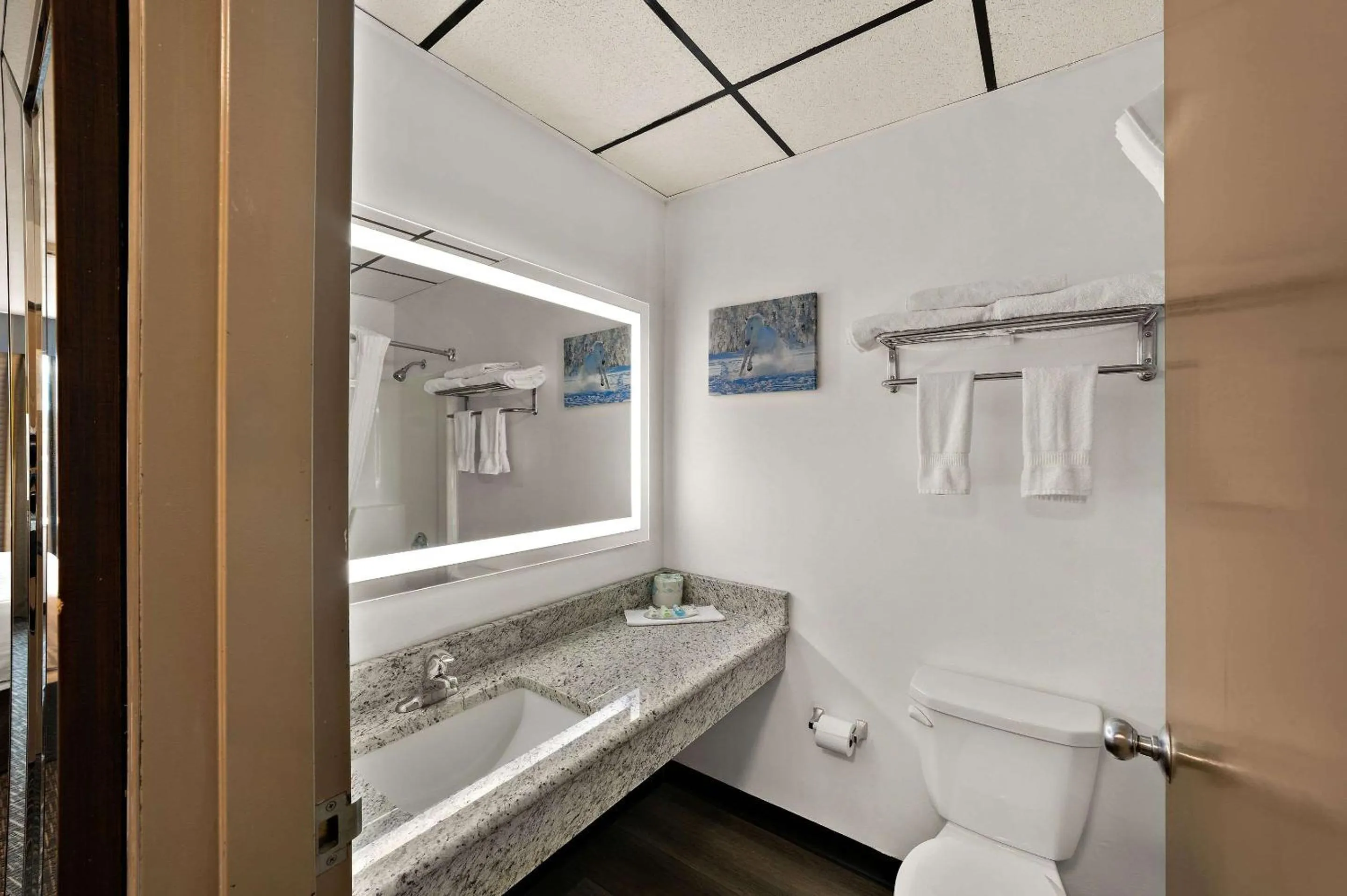 Bedroom in Quality Inn & Suites Caribou