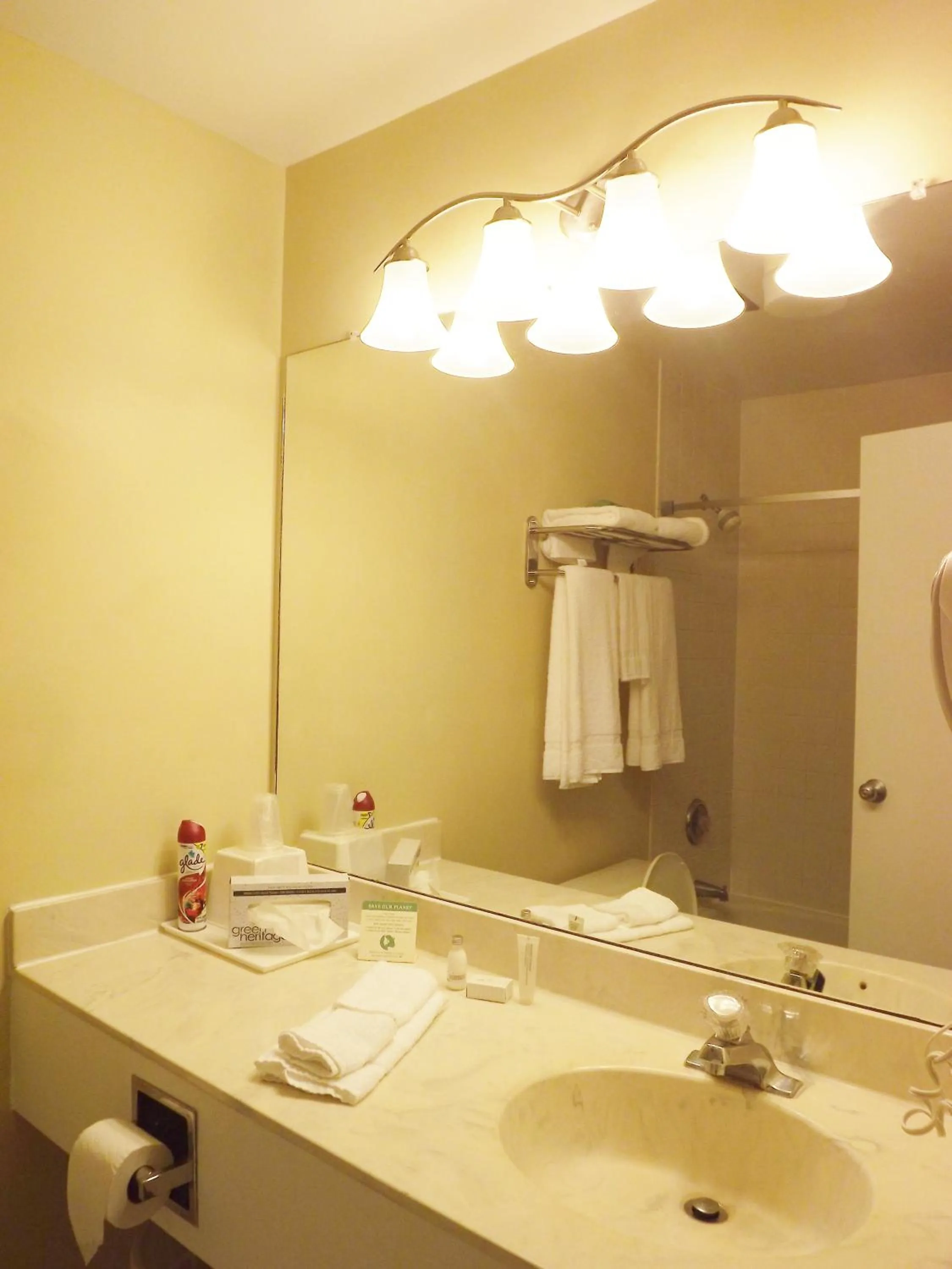 Bathroom in River Edge Inn