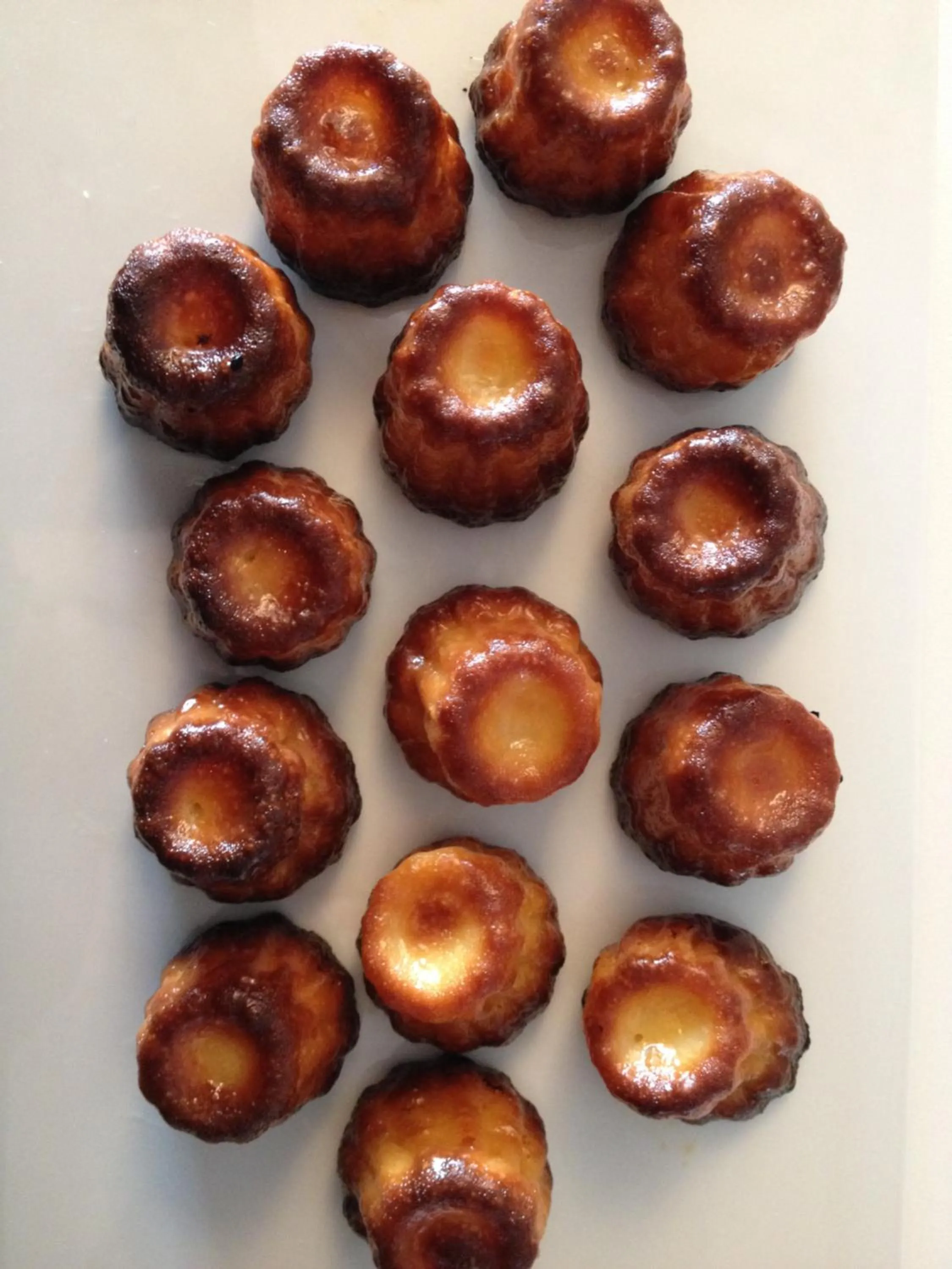 Food and drinks in Key Largo