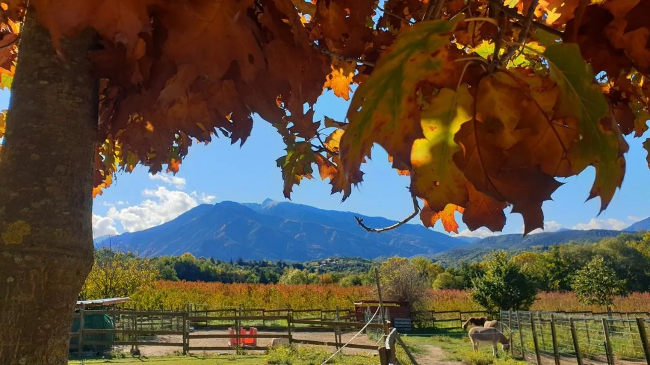 Mountain view in Chambre d'hôtes Le Petit Ranch