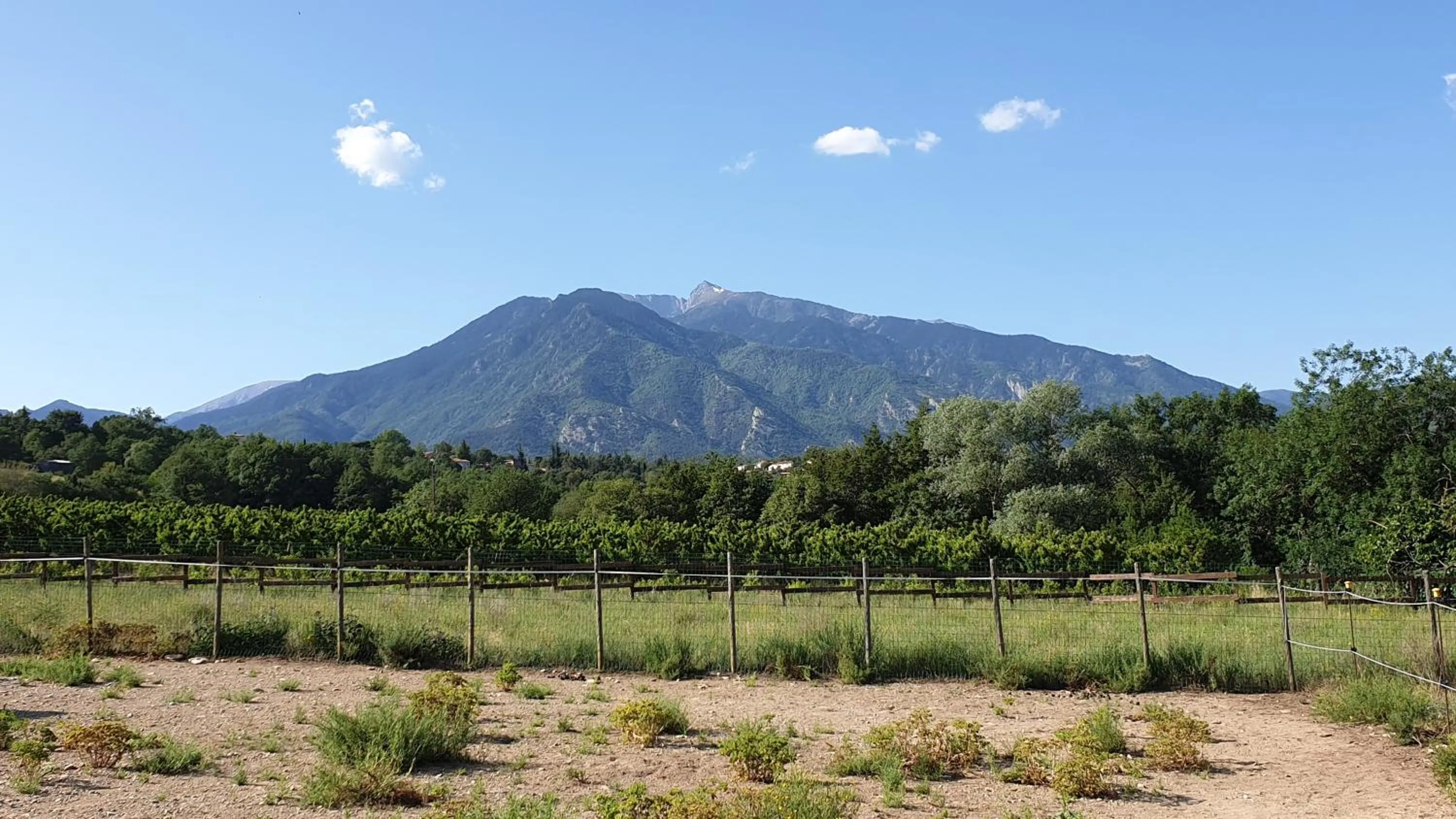 Natural landscape in Chambre d'hôtes Le Petit Ranch