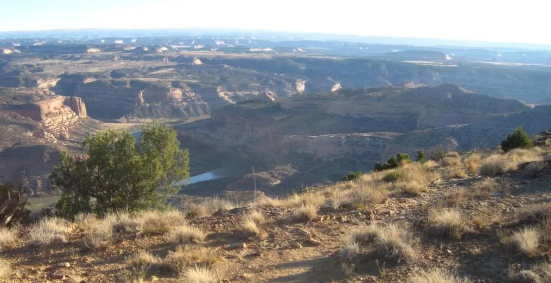 Natural landscape in Super 8 by Wyndham Fruita