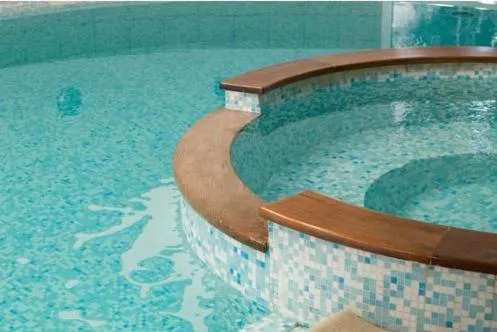 Swimming pool in Le Robinson