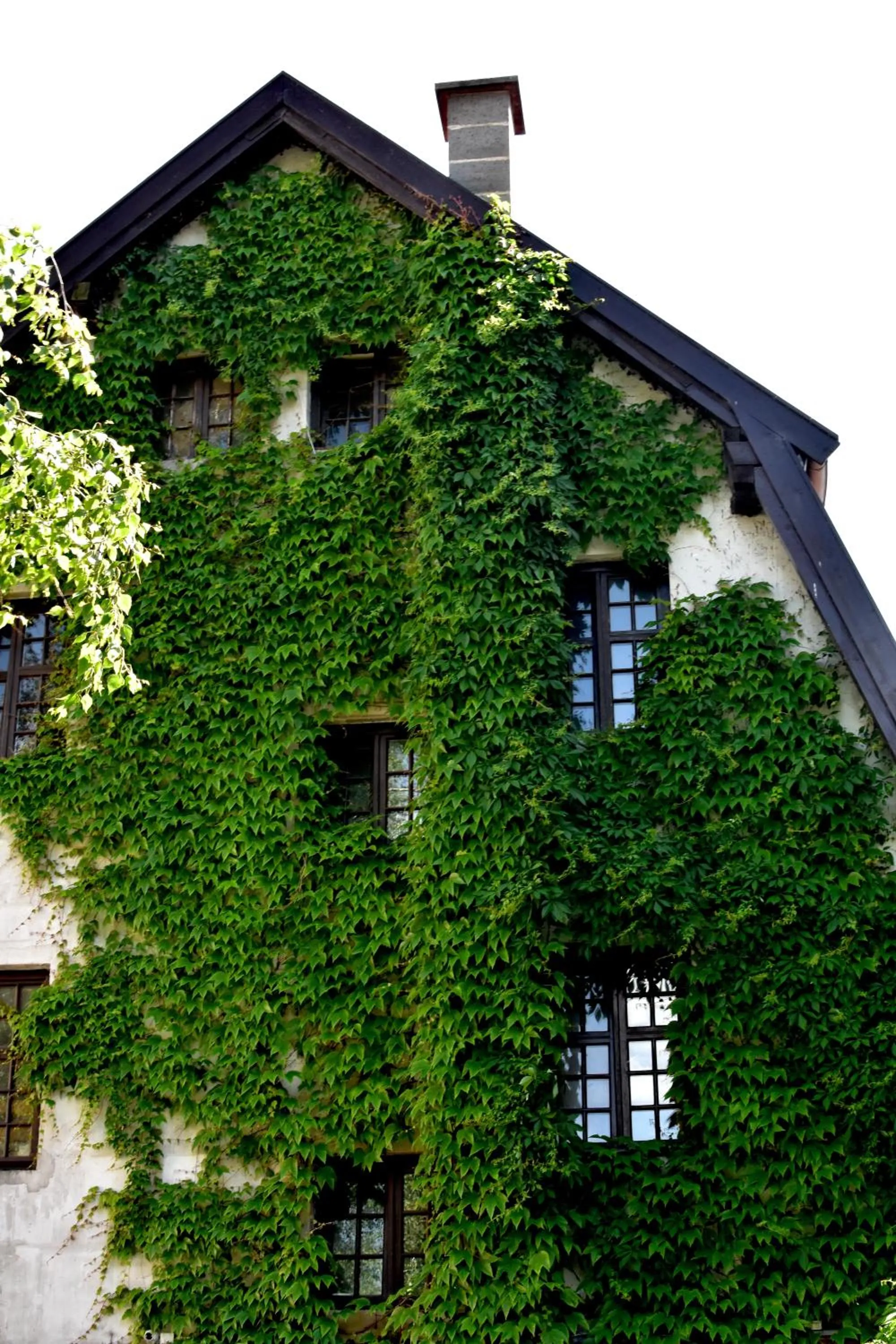 Hostel Przy Targu Rybnym