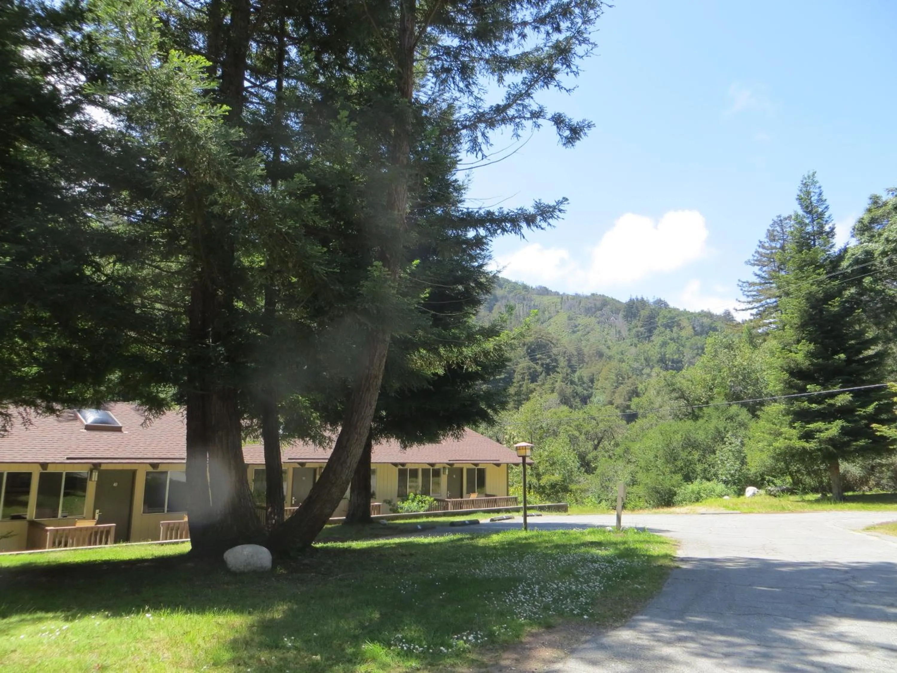 Natural landscape in Big Sur Lodge