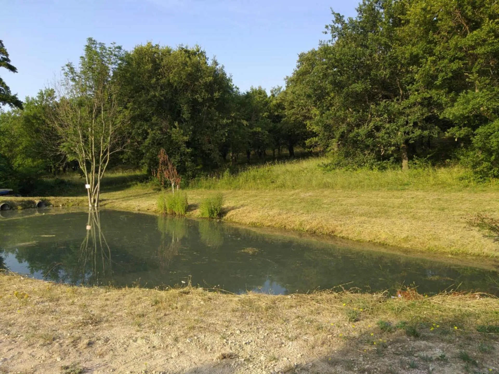 Natural landscape in Les Chalets de Saint Maurice (Dieulefit)