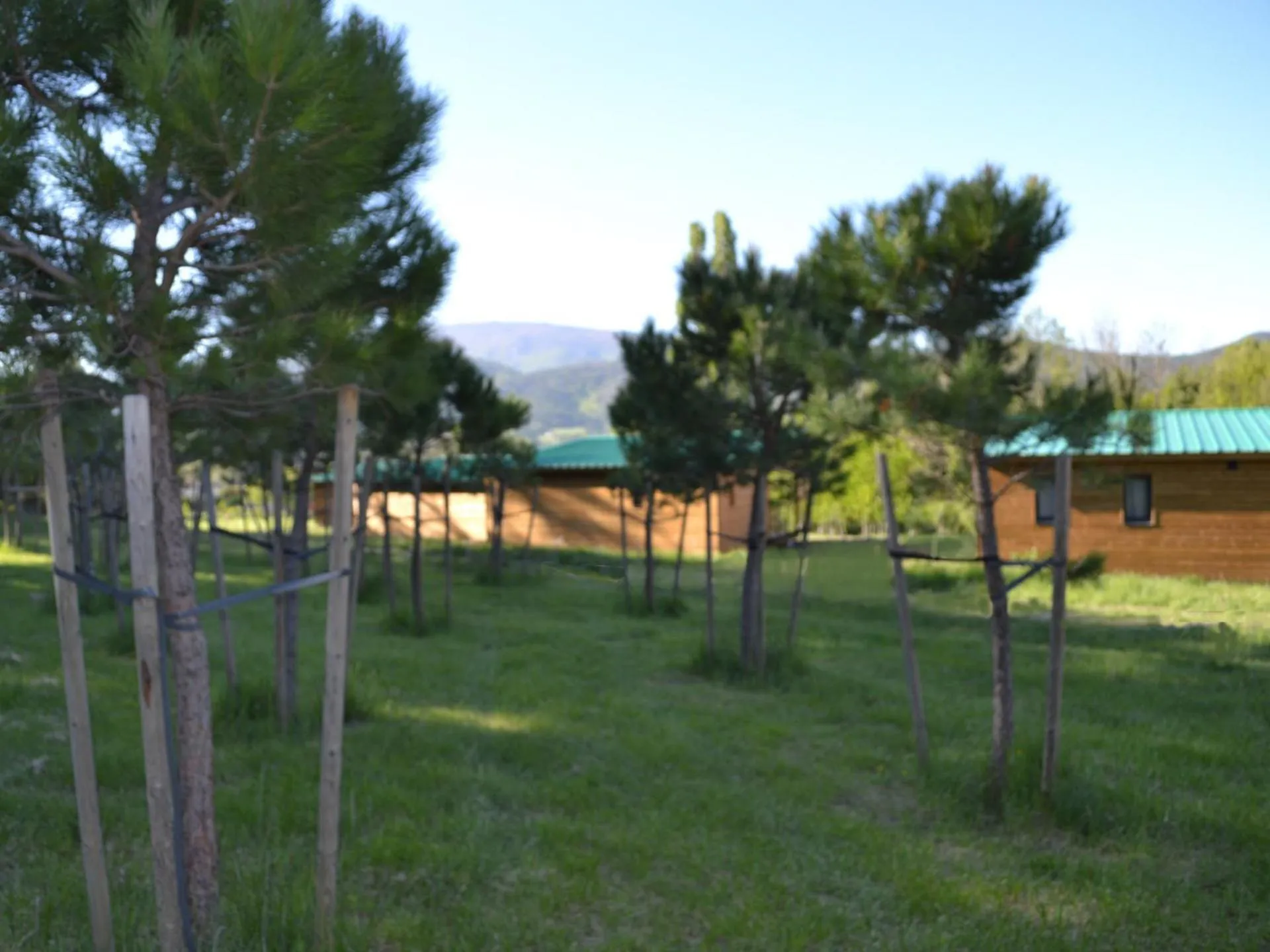 Garden in Les Chalets de Saint Maurice (Dieulefit)