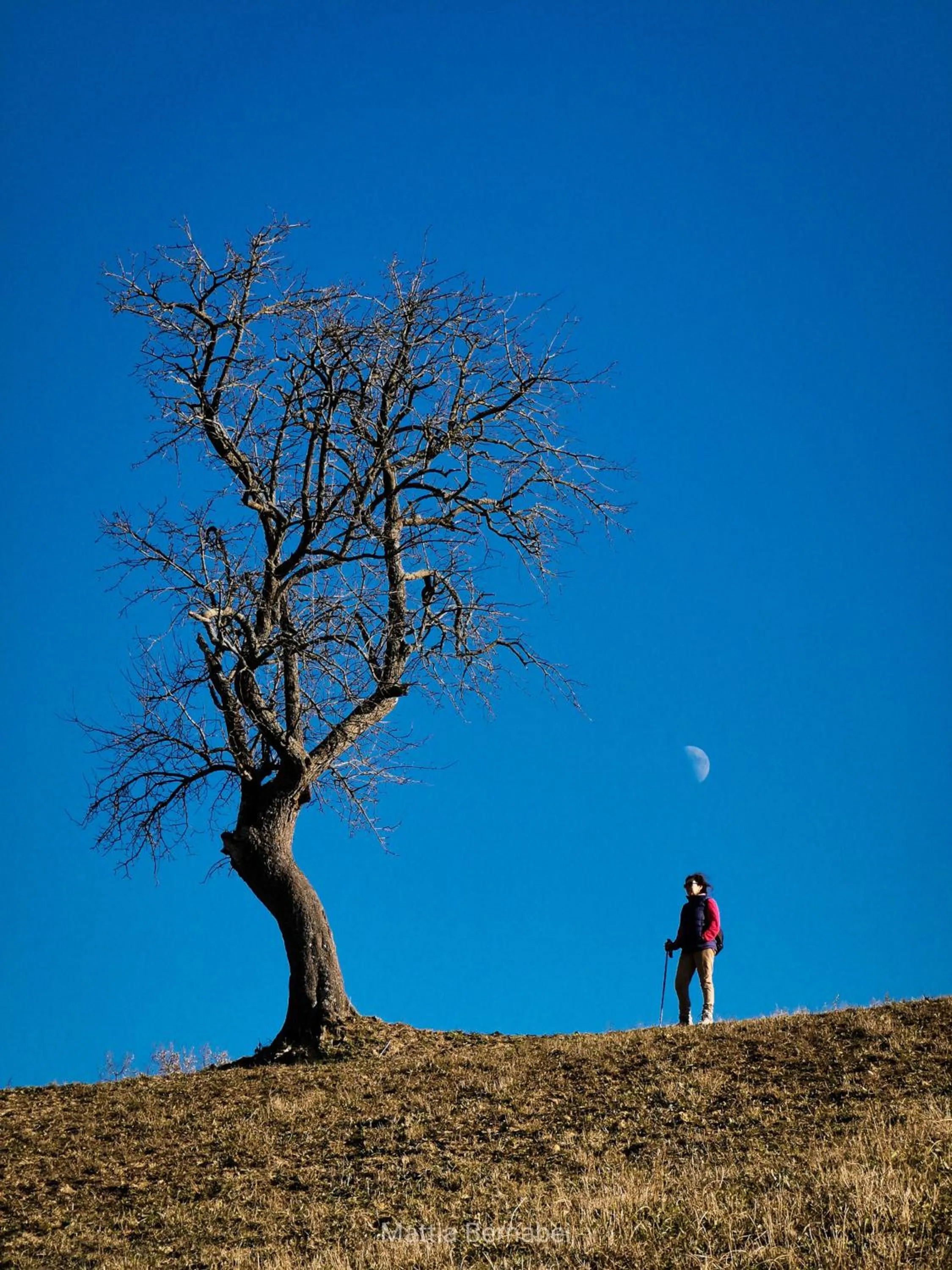 Natural landscape in Corte Buenavista