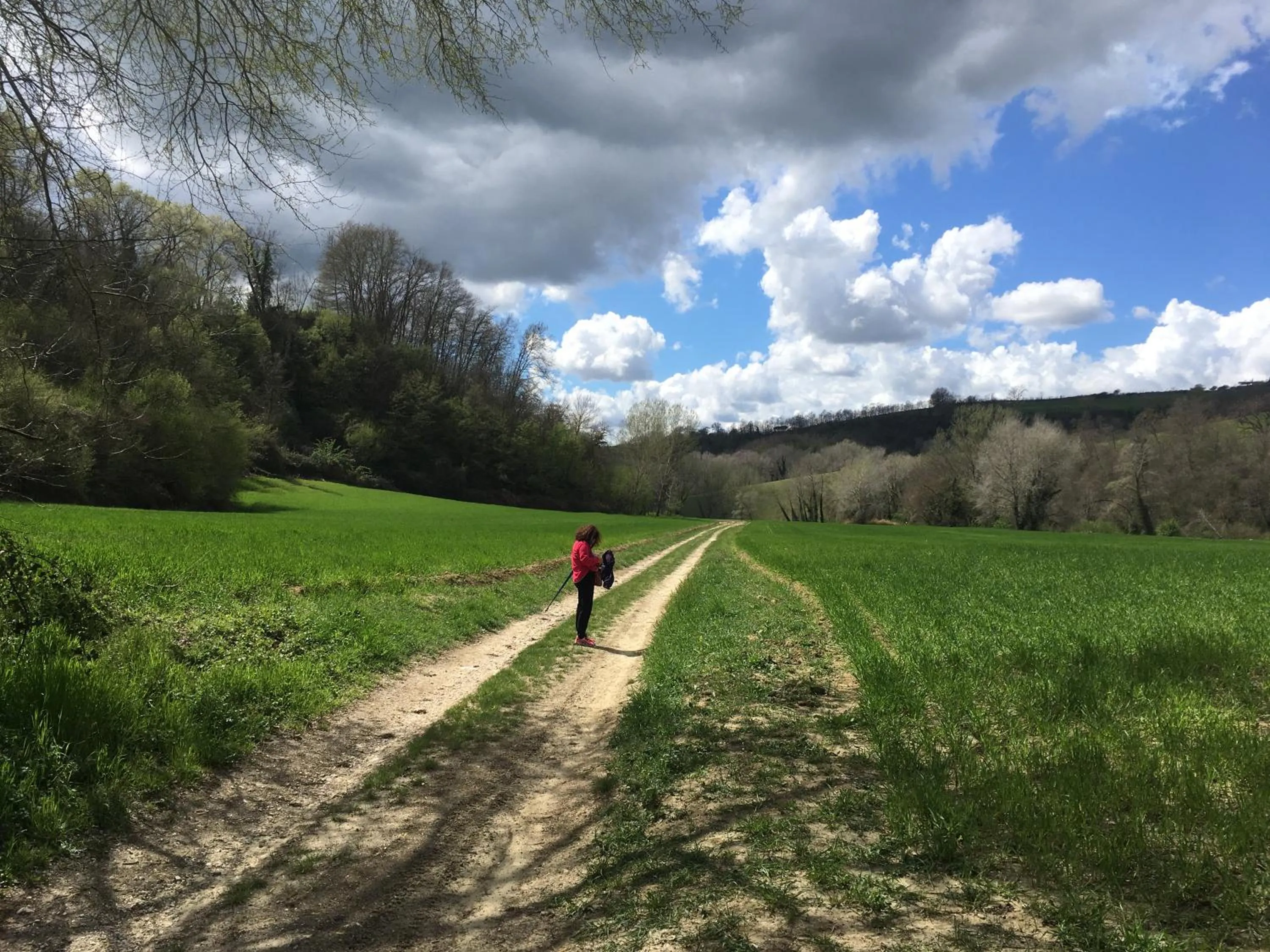 Natural landscape in Corte Buenavista