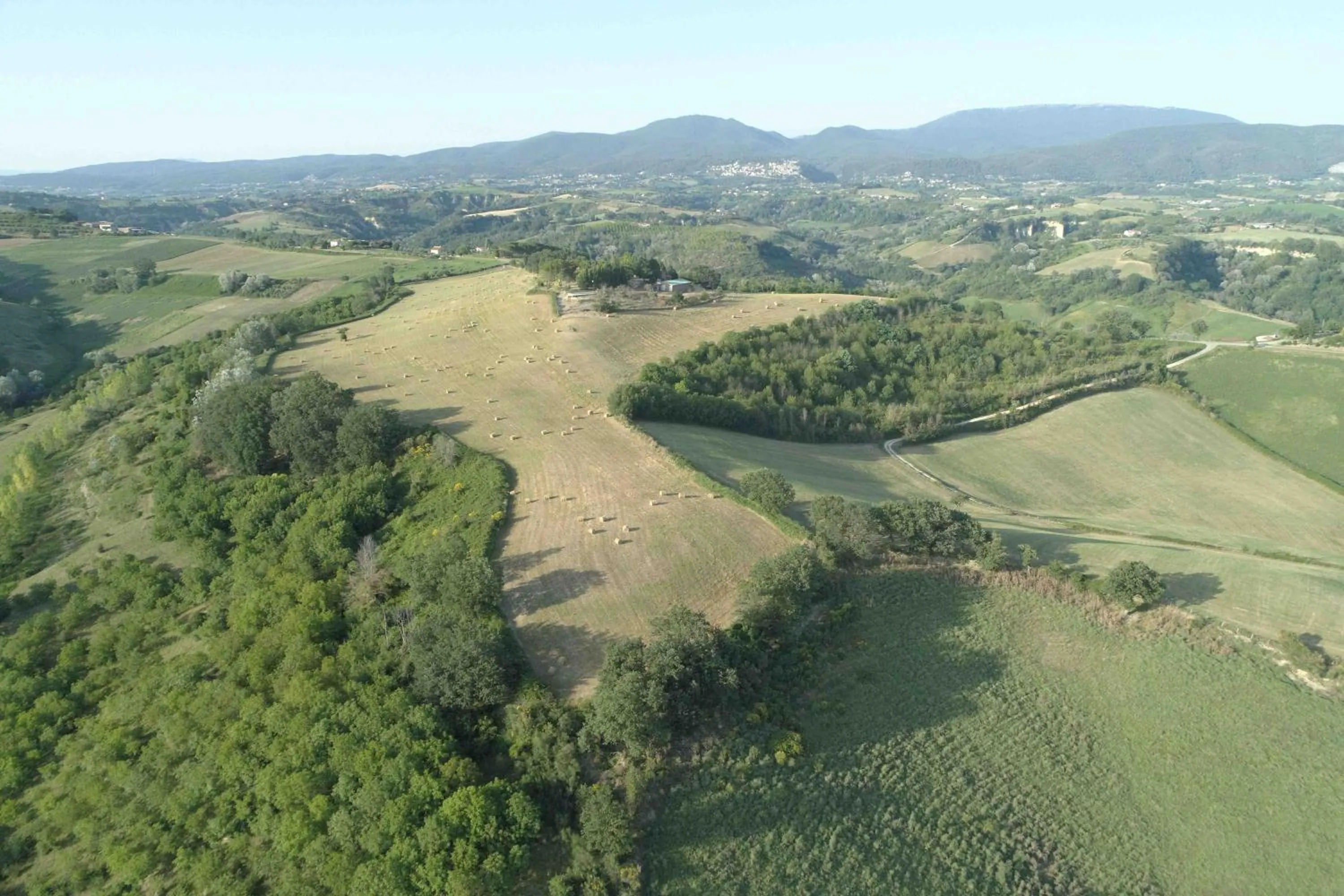 Natural landscape in Corte Buenavista