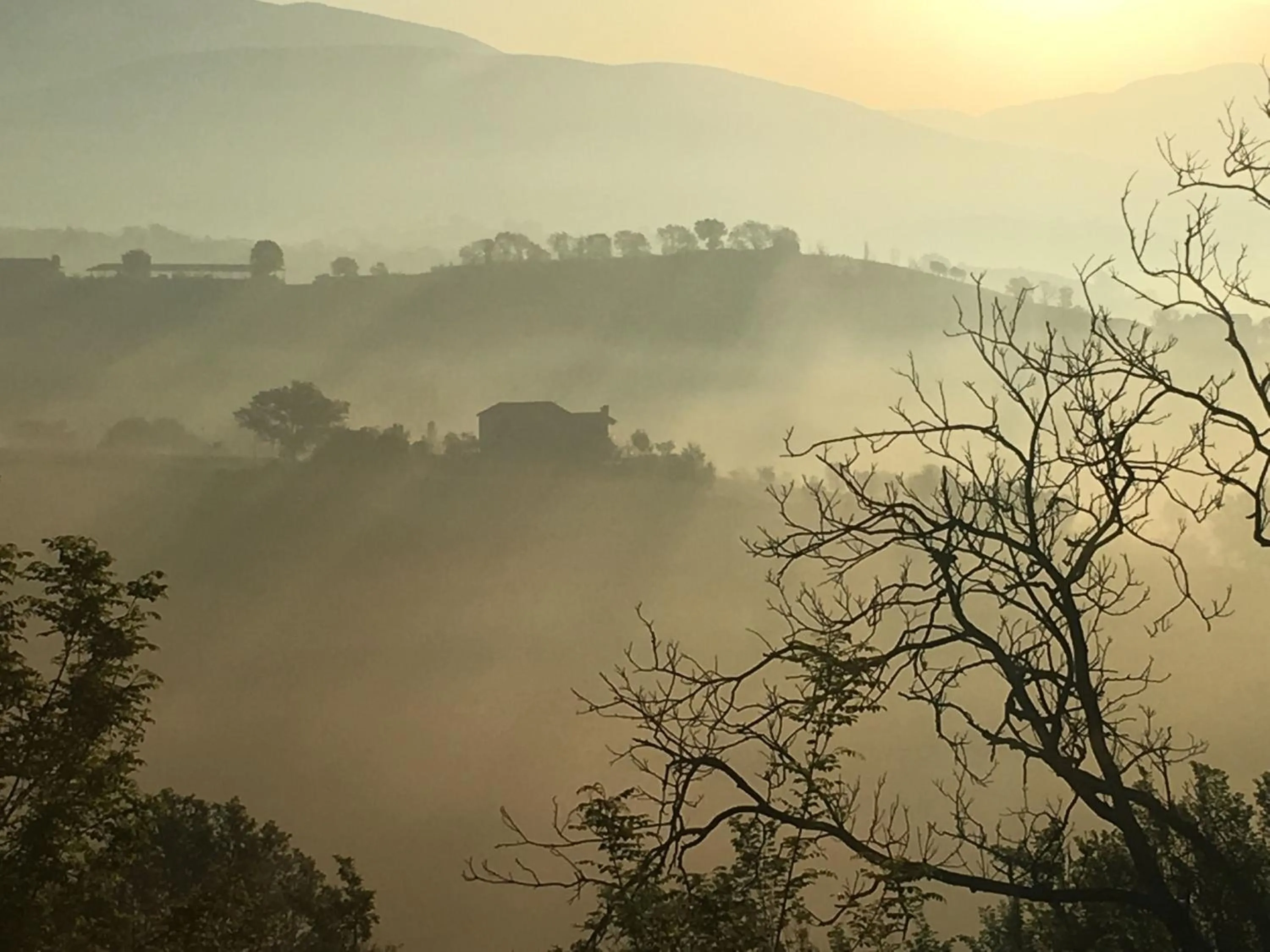 View (from property/room) in Corte Buenavista